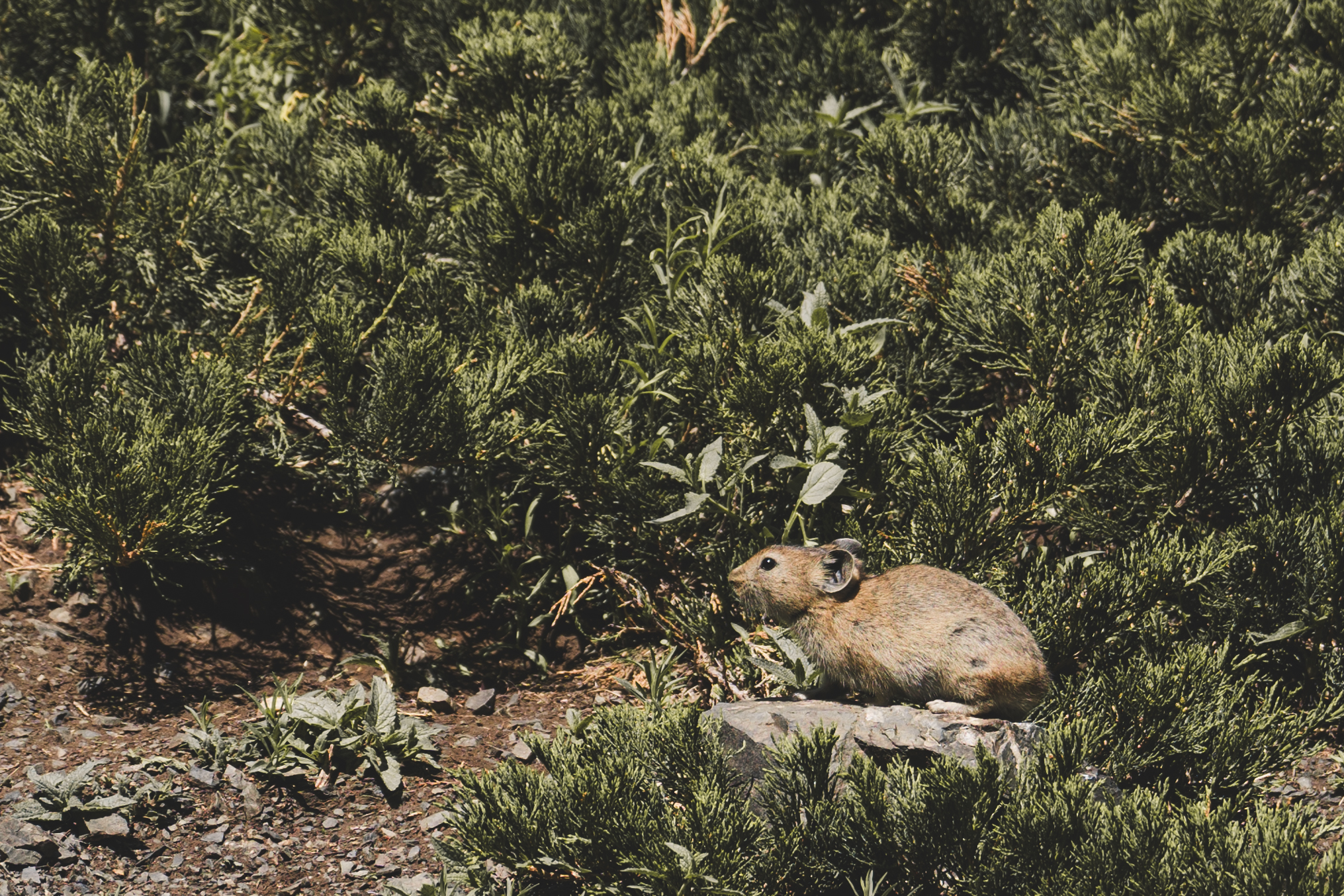 Modern Nomads - к золотым пескам Гоби (26/59)