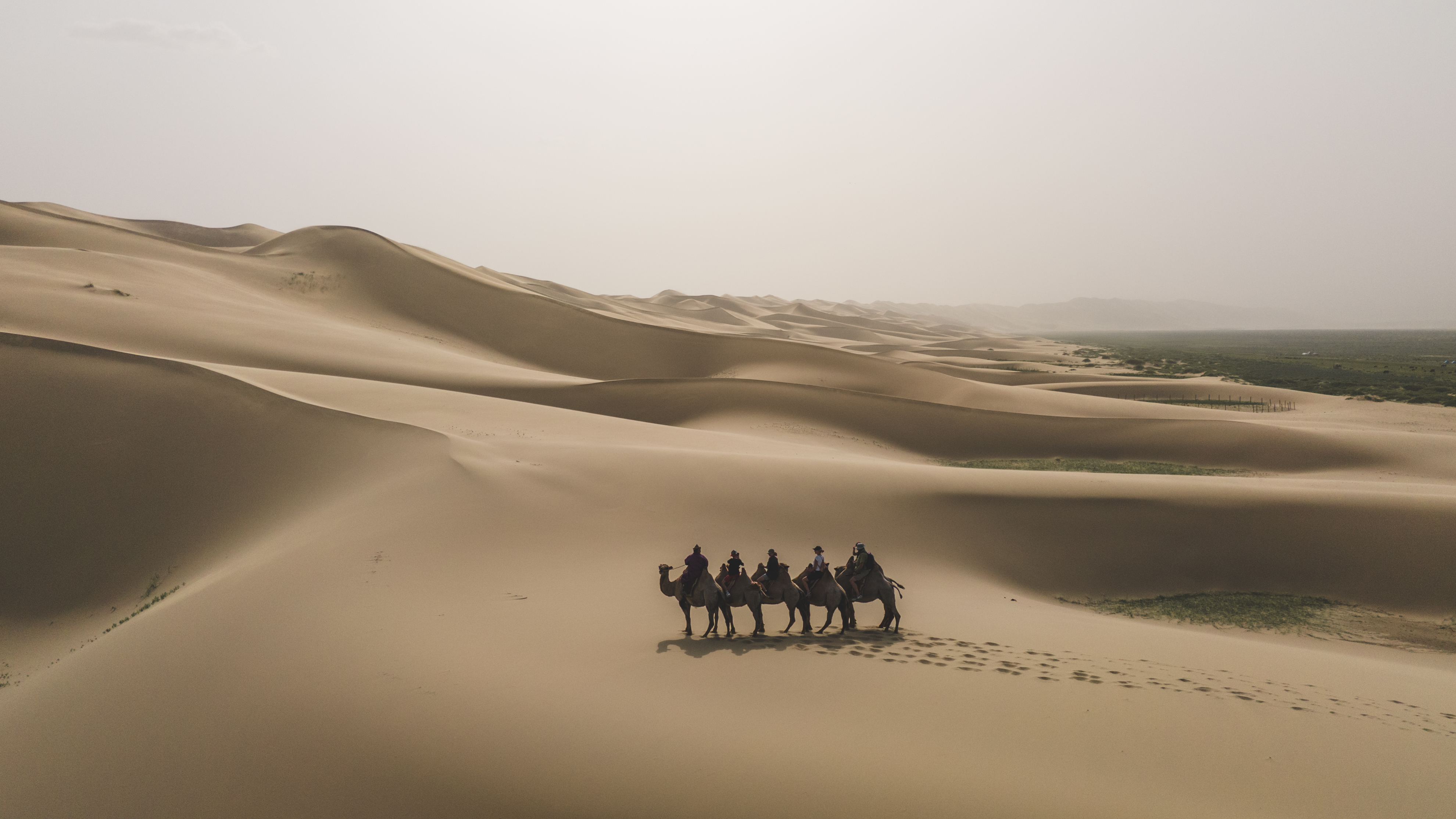 Modern Nomads - к золотым пескам Гоби (27/59)