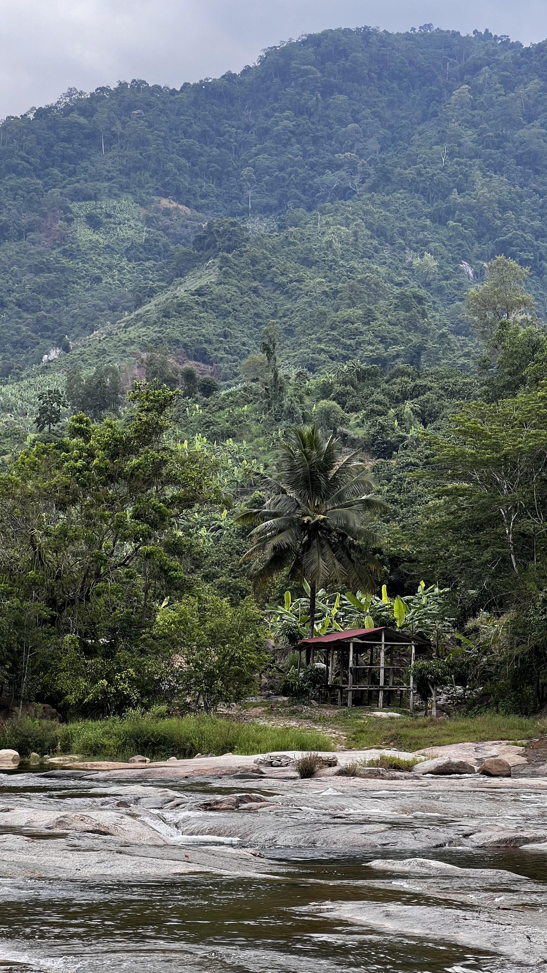 Вьетнам без границ: пляжи, джунгли и города - 10 дней ярких впечатлений (10/13)