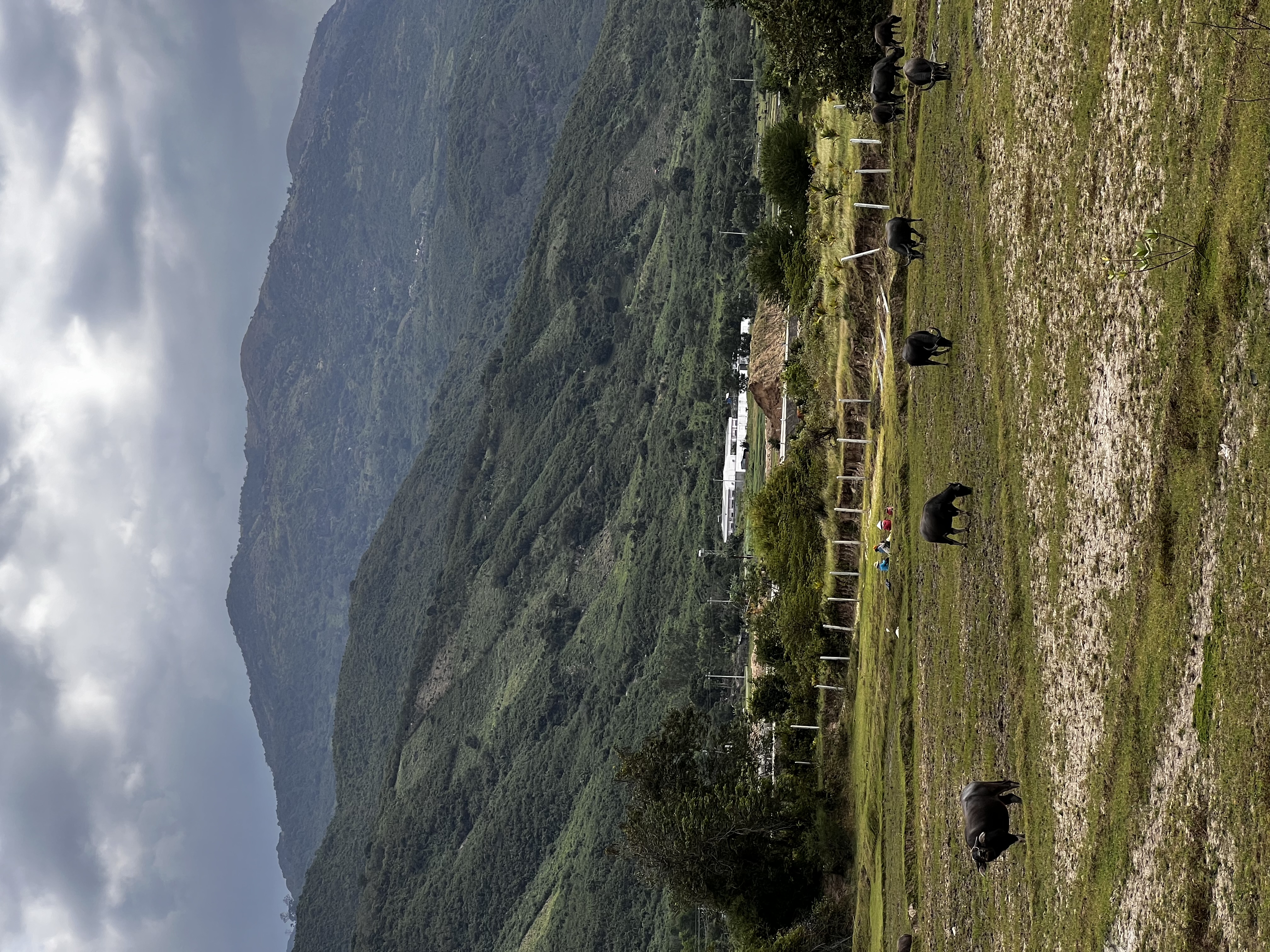 Вьетнам без границ: пляжи, джунгли и города - 10 дней ярких впечатлений (7/13)
