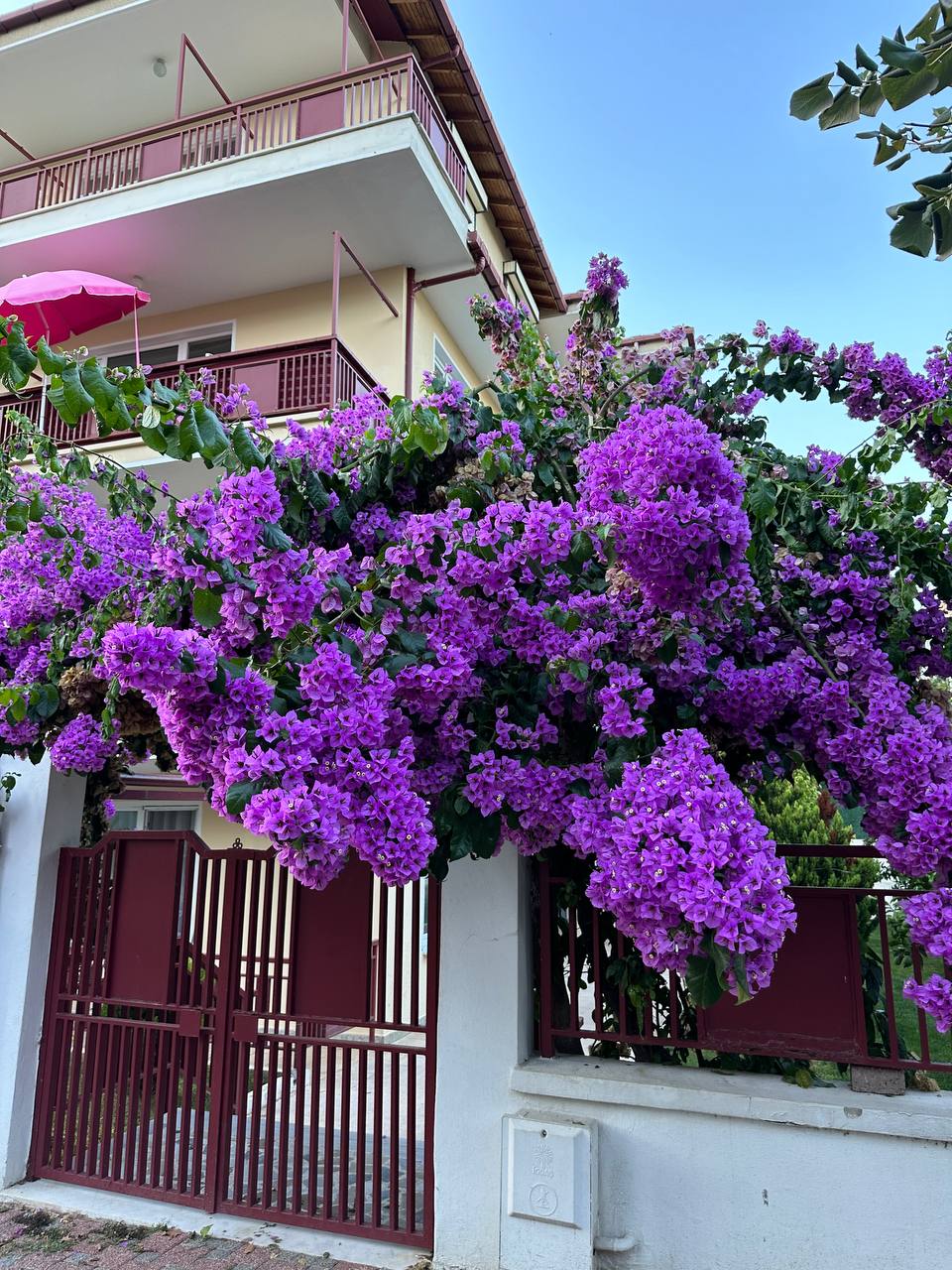 Стамбул 2.0. + Принцевы Острова . Тур для тех, кто готов вернуться! (21/41)