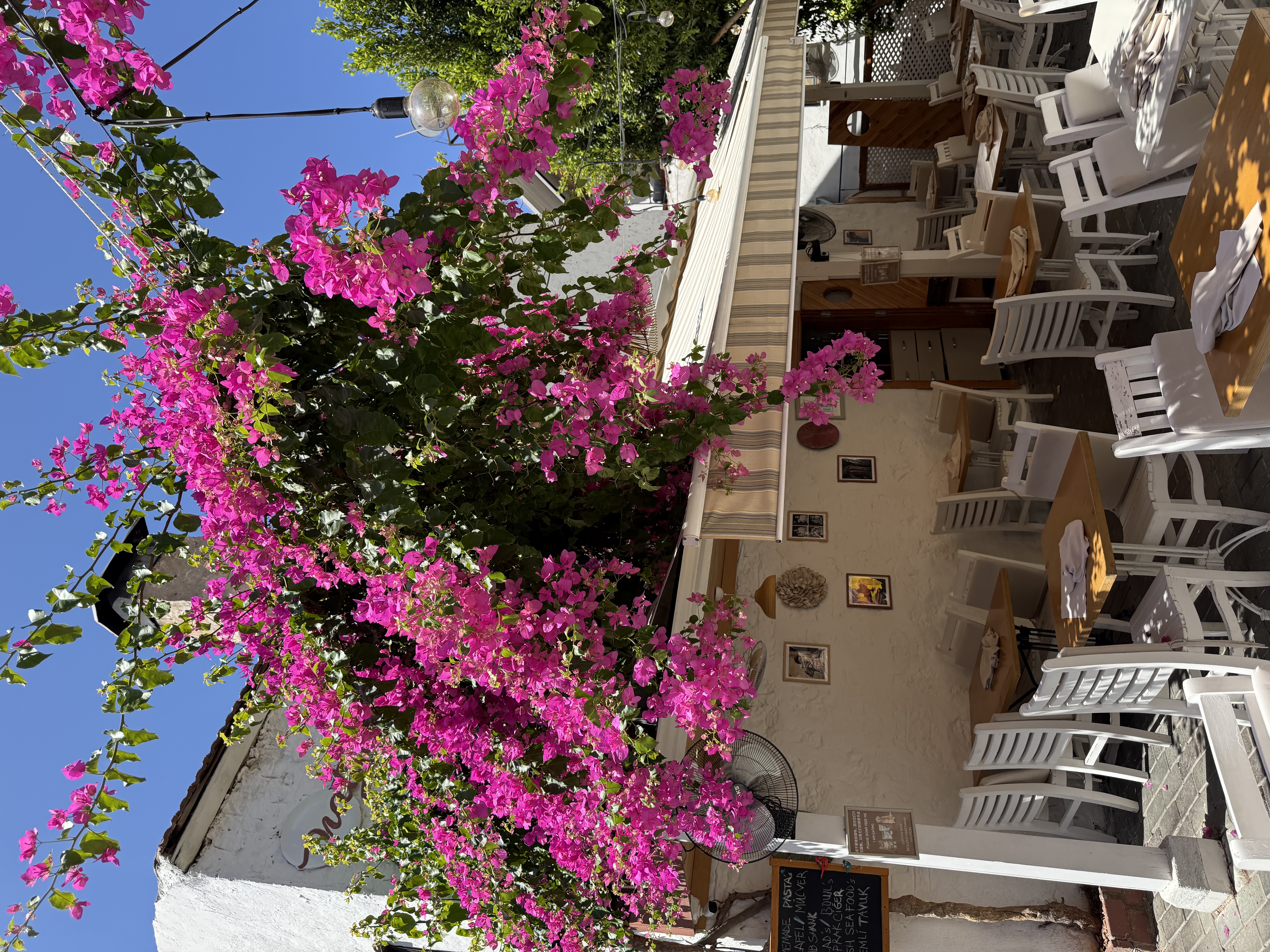 Стамбул 2.0. + Принцевы Острова . Тур для тех, кто готов вернуться! (24/41)