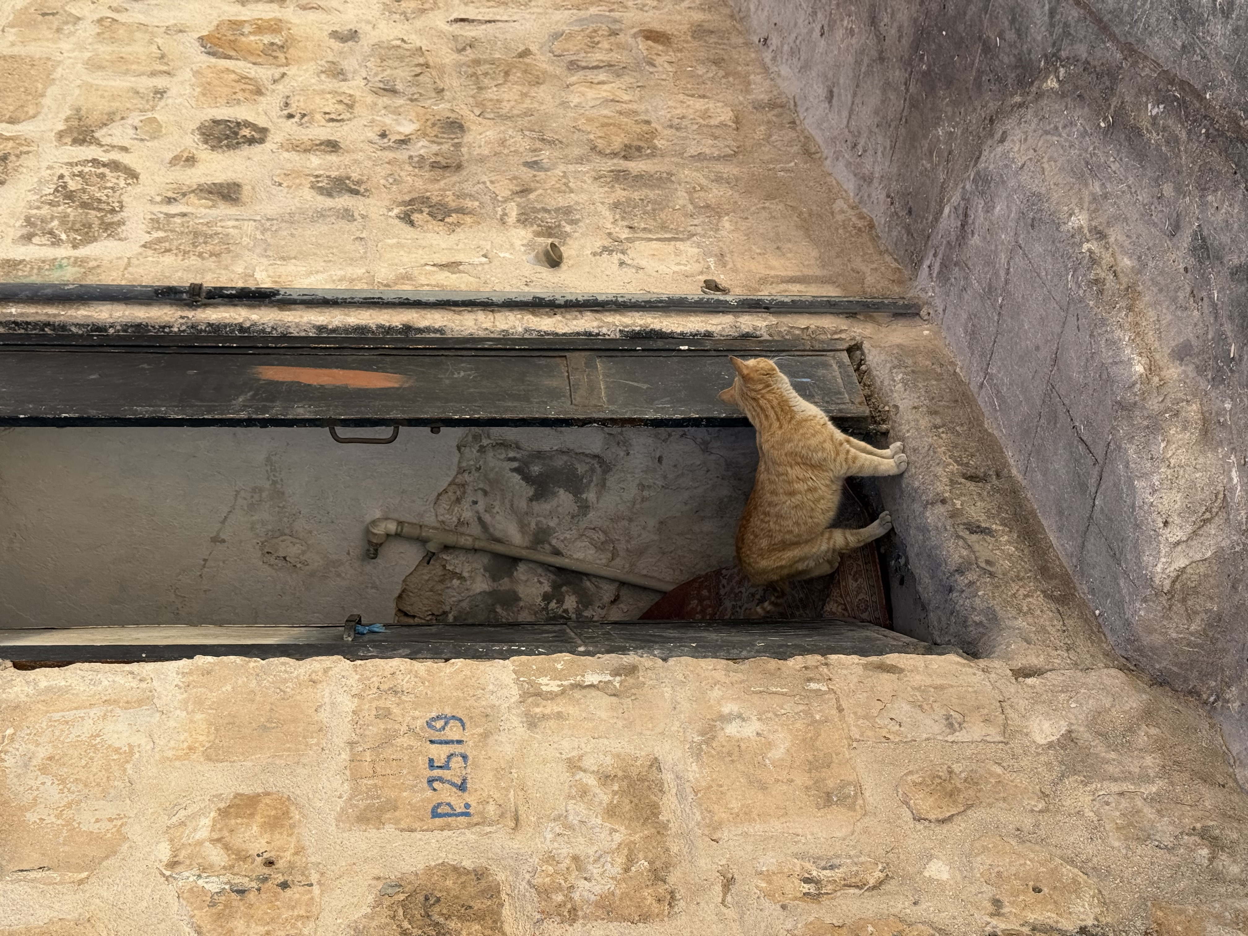 Стамбул 2.0. + Принцевы Острова . Тур для тех, кто готов вернуться! (27/41)