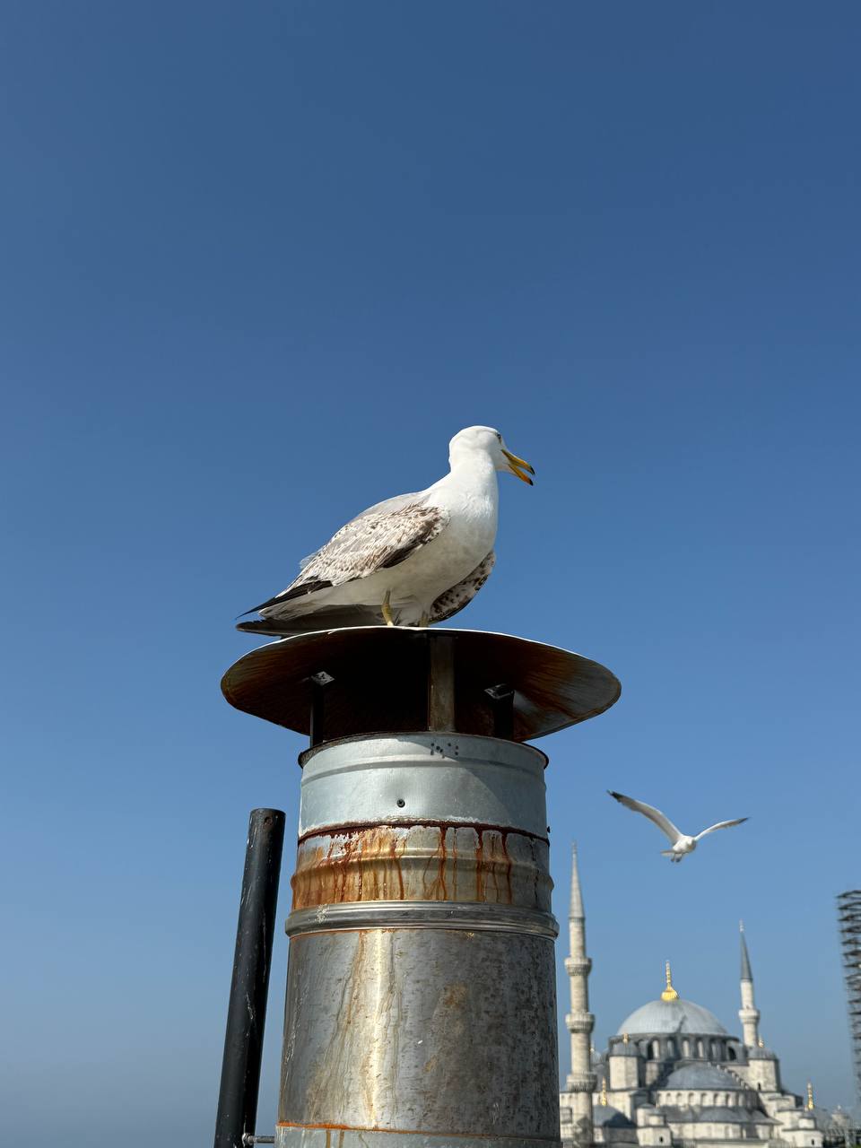 Стамбул 2.0. + Принцевы Острова . Тур для тех, кто готов вернуться! (29/41)