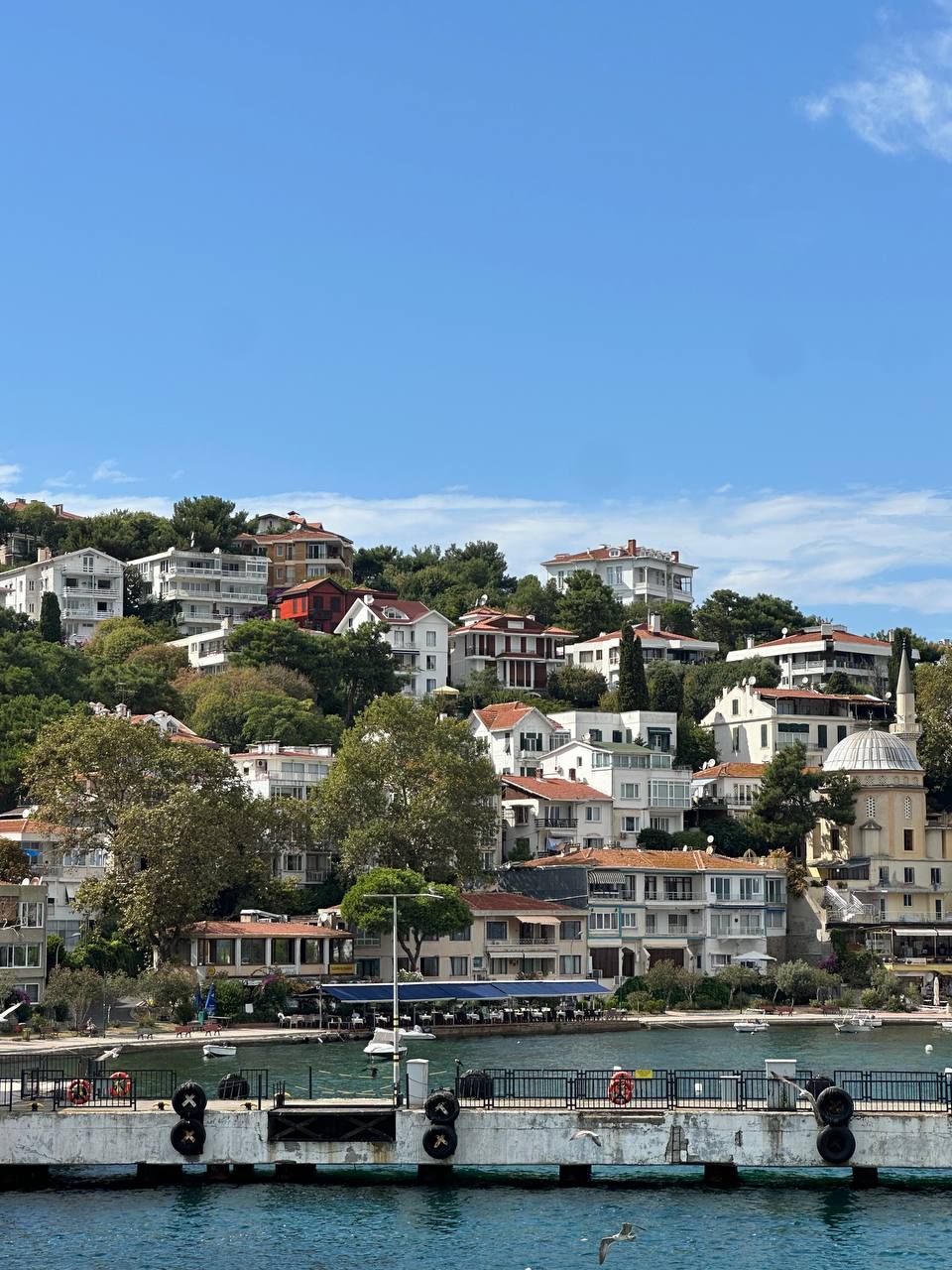 Стамбул 2.0. + Принцевы Острова . Тур для тех, кто готов вернуться! (20/41)