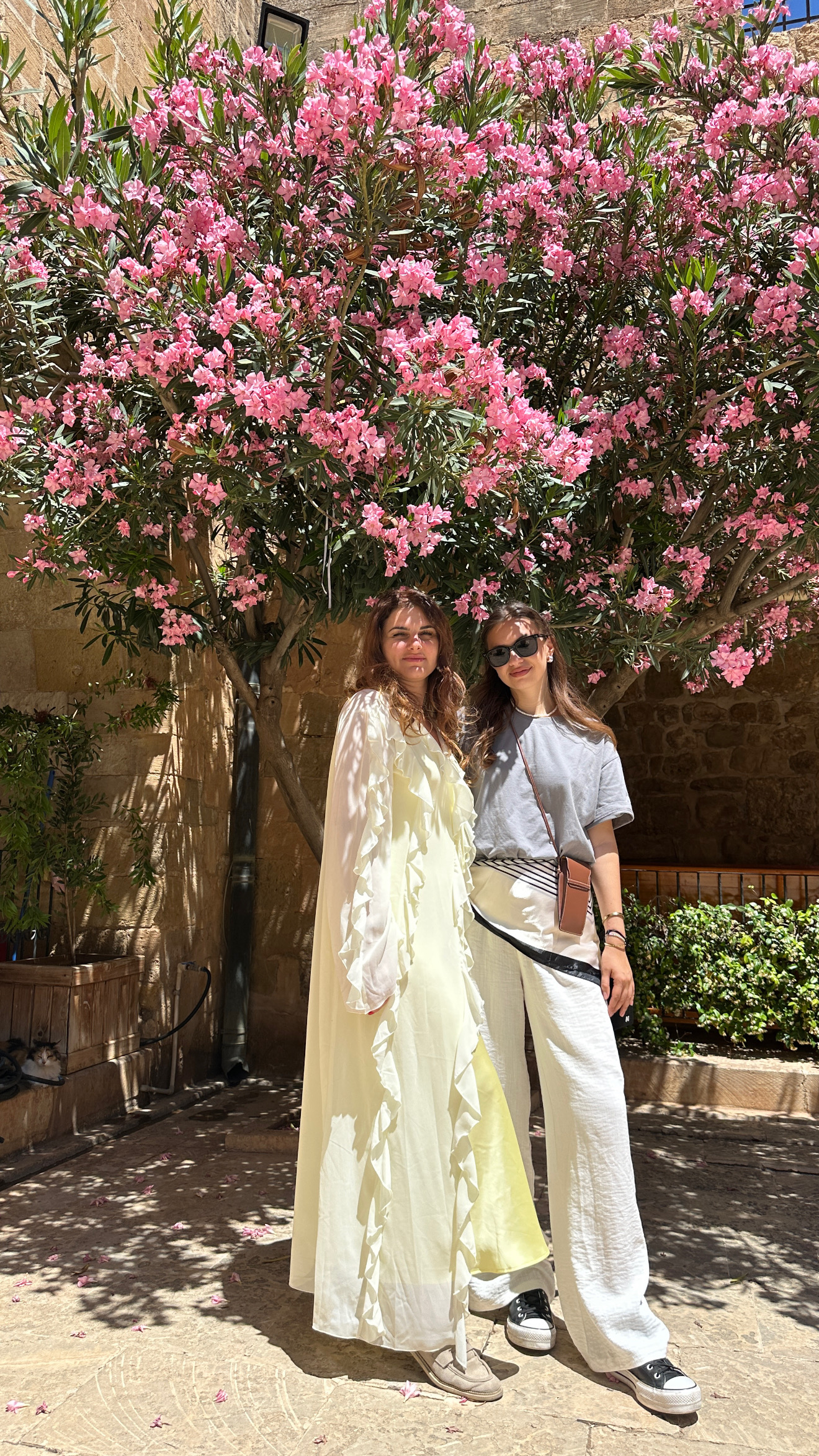 Мардин. Далекий город и Восточная сказка (11/40)