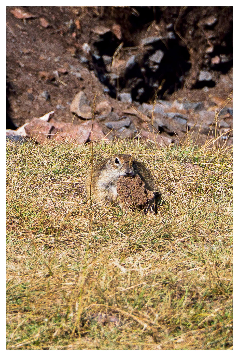 Все ущелья Кабардино-Балкарии на джипе и с комфортом! (34/59)