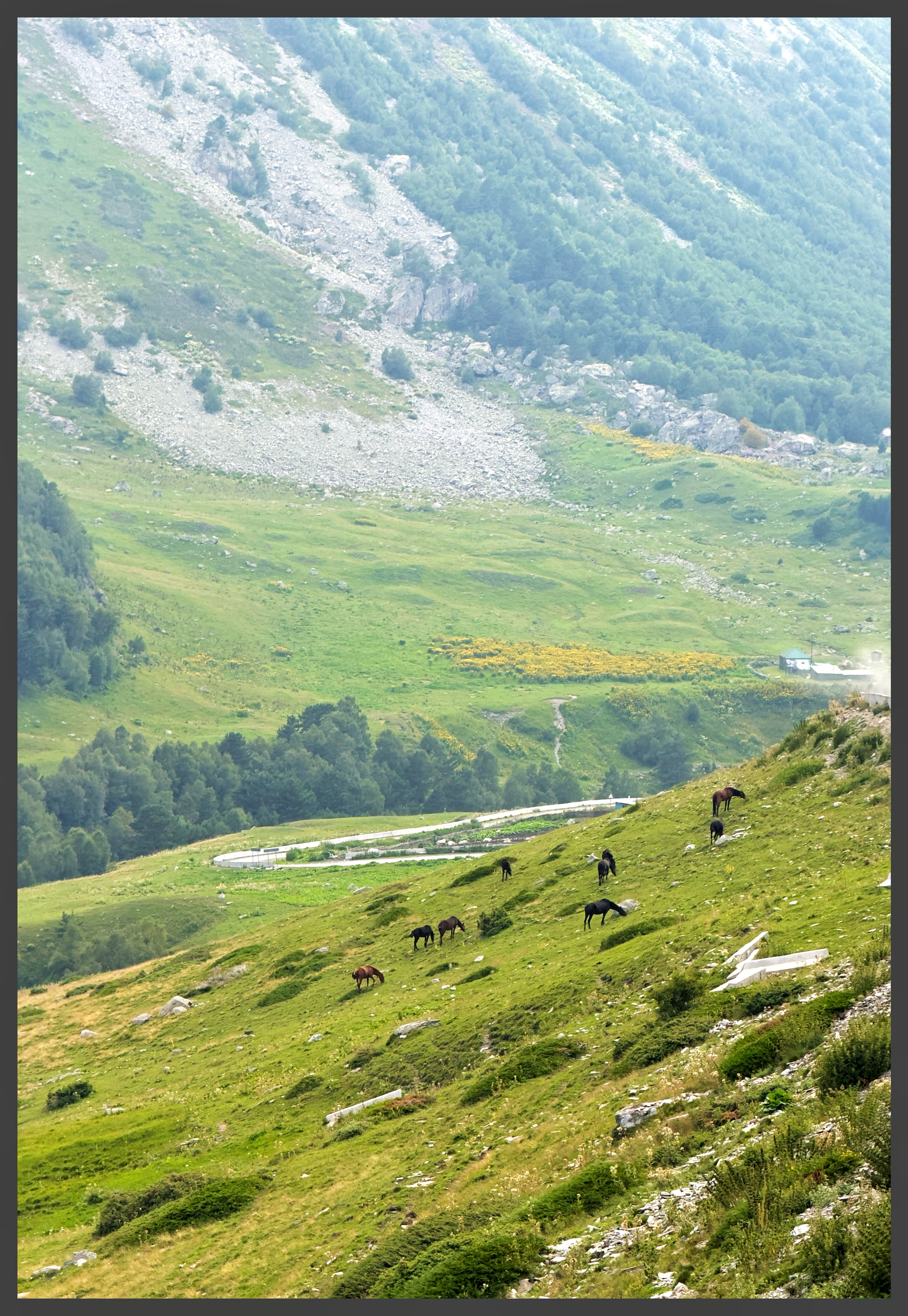 Все ущелья Кабардино-Балкарии на джипе и с комфортом! (49/59)
