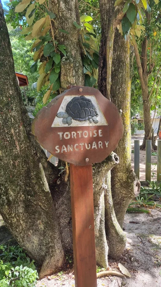 Путешествие большой семьей по Индийскому океану! (5/30)