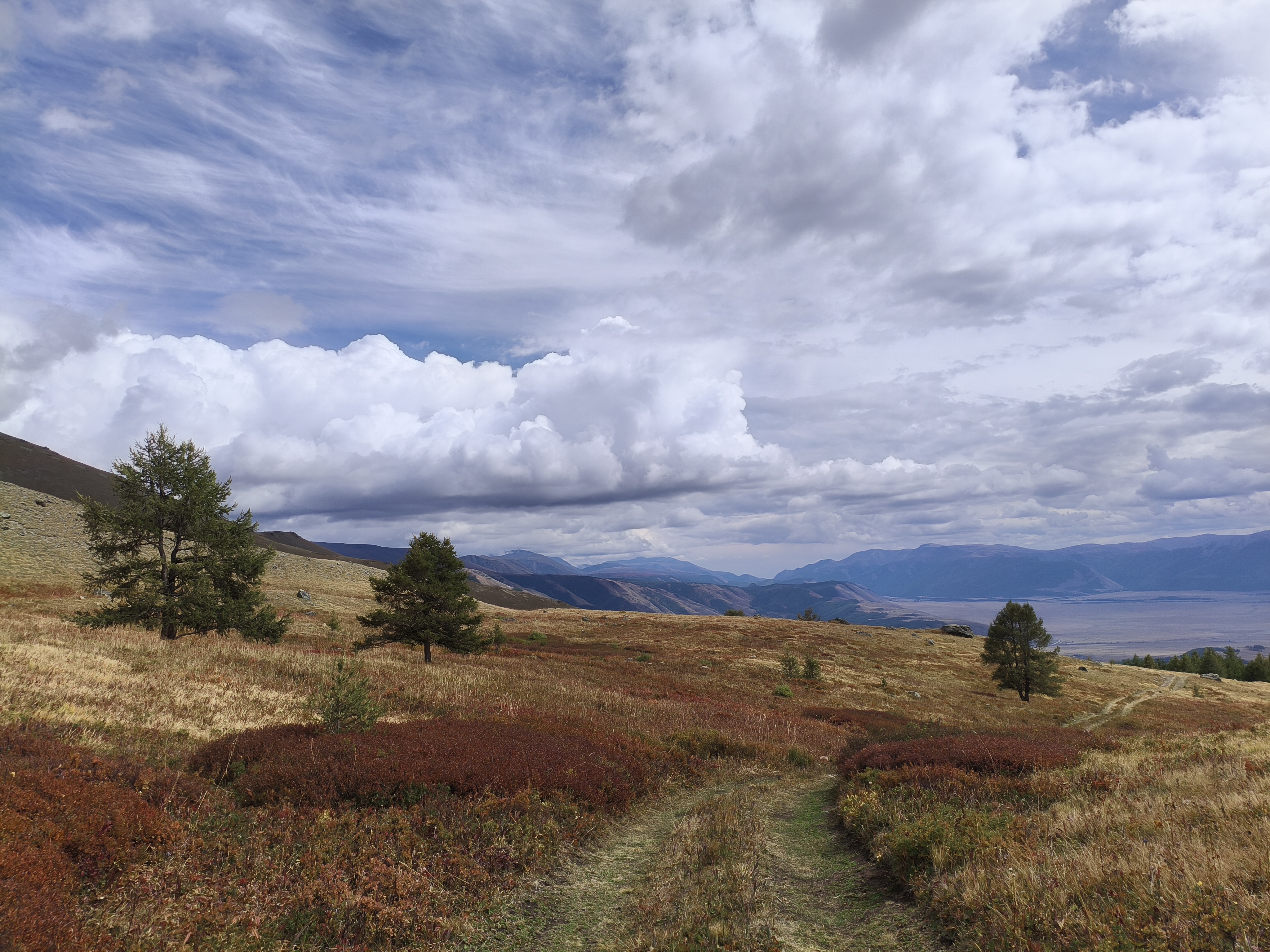 Алтайская Высотка Авто тур