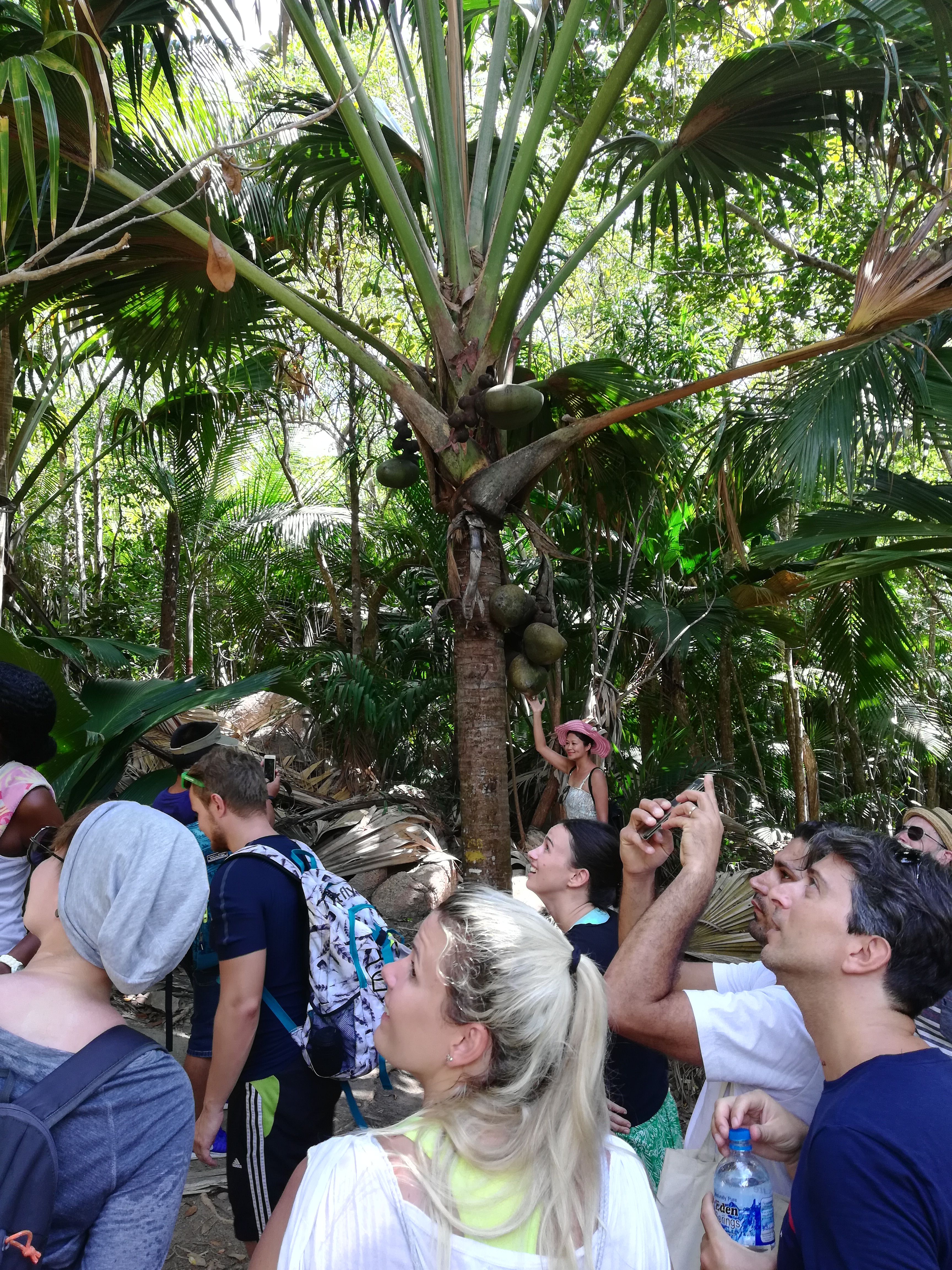 Сейшелы - приключение по островам (12/16)