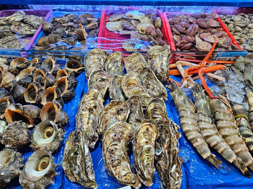 Корея. Жизнь других. Сеул - Пусан - Кёнджу - о. Чеджу (15/58)