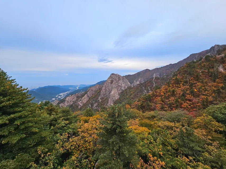 Корея. Жизнь других. Сеул - Пусан - Кёнджу - о. Чеджу (14/58)