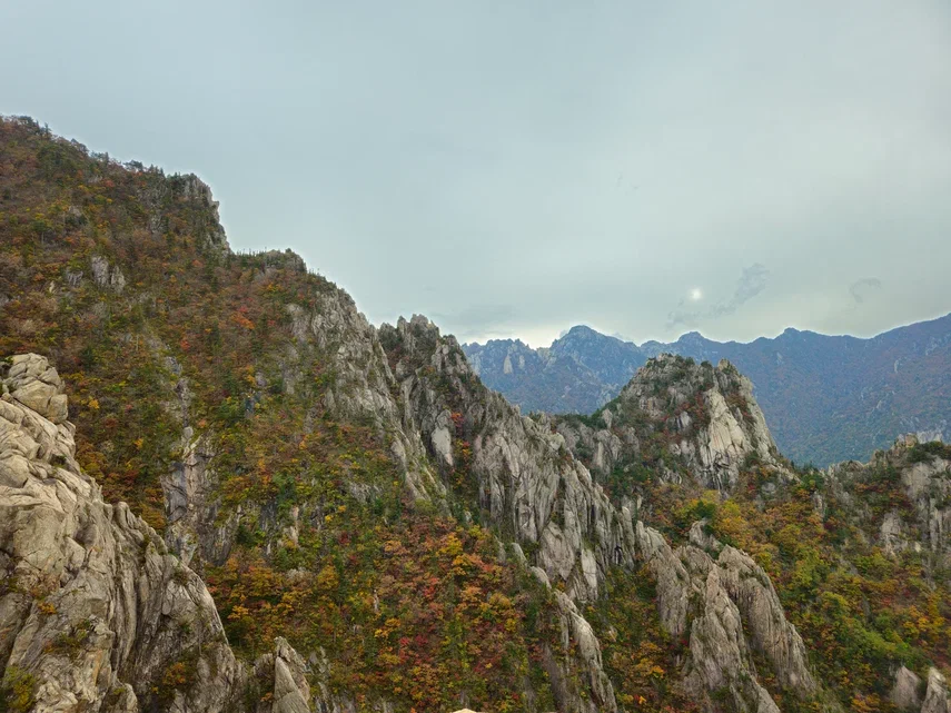 Корея. Жизнь других. Сеул - Пусан - Кёнджу - о. Чеджу (9/58)