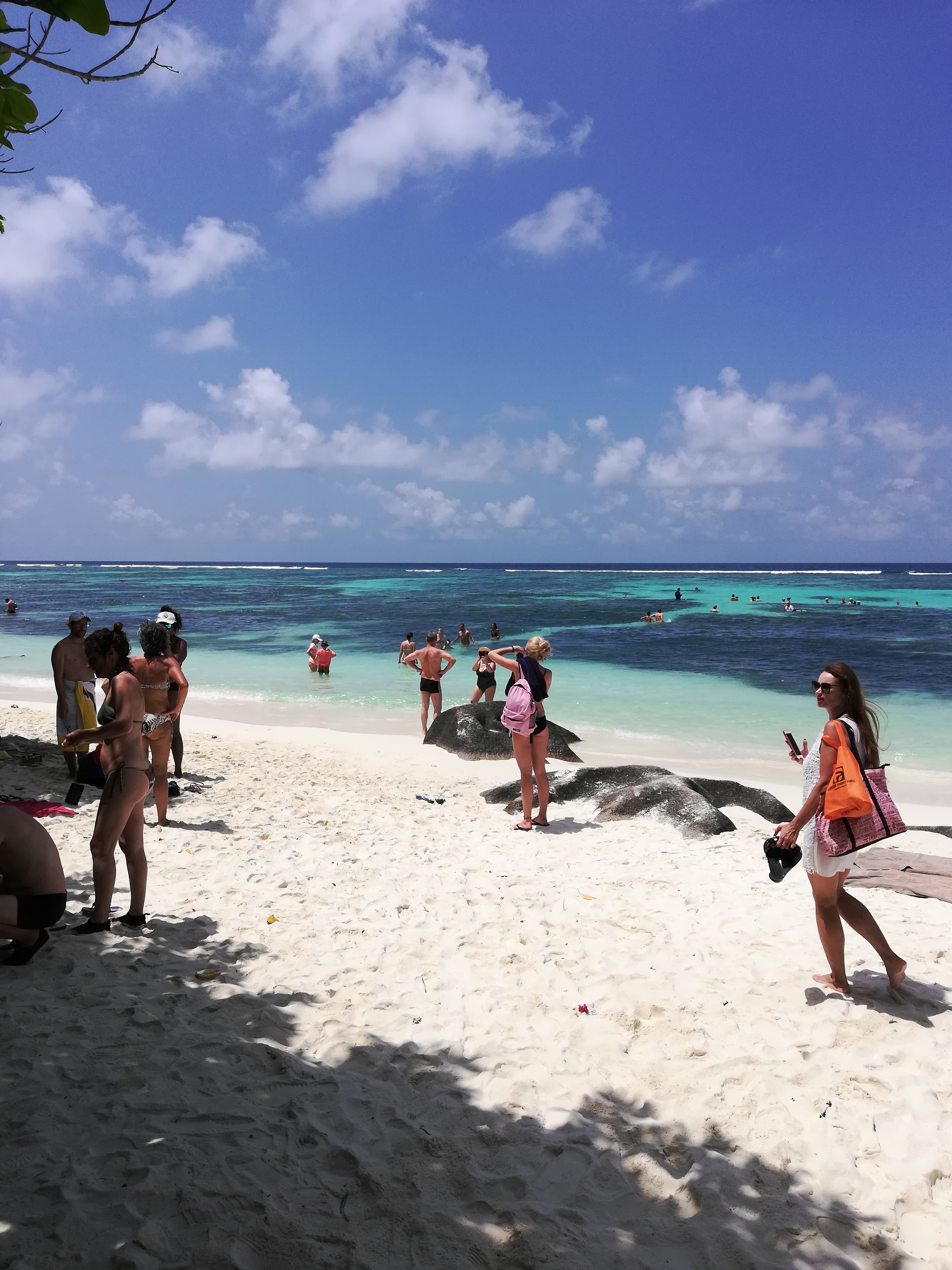 Сейшелы - приключение по островам (8/16)