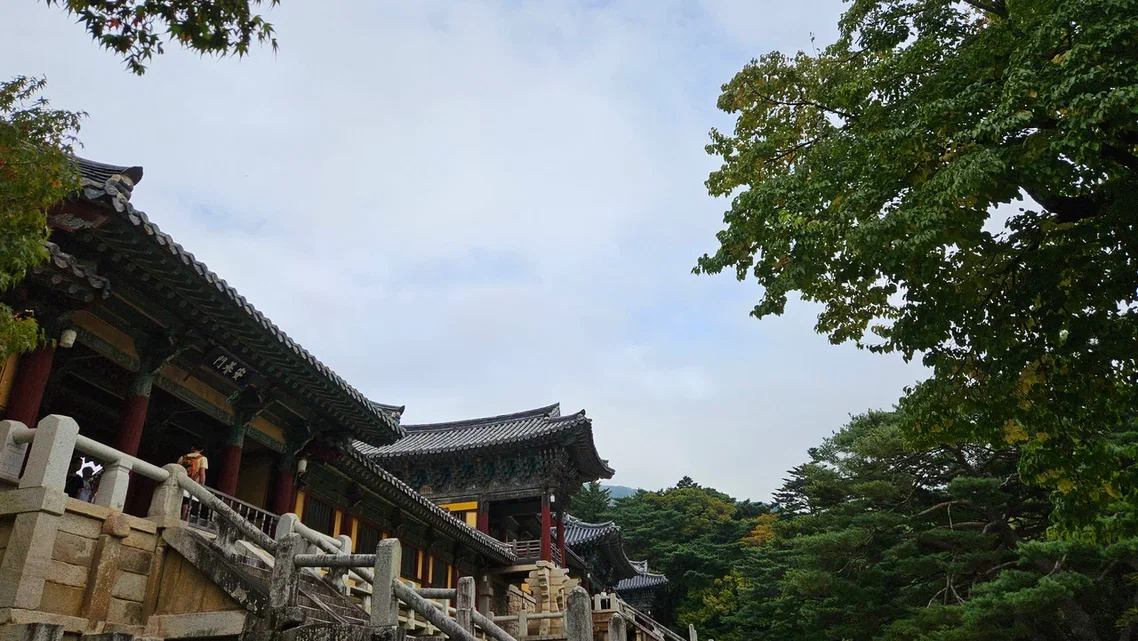 Корея. Жизнь других. Сеул - Пусан - Кёнджу - о. Чеджу (27/58)