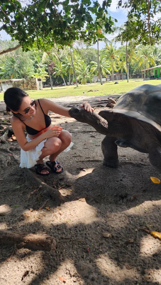 Путешествие большой семьей по Индийскому океану! (4/30)