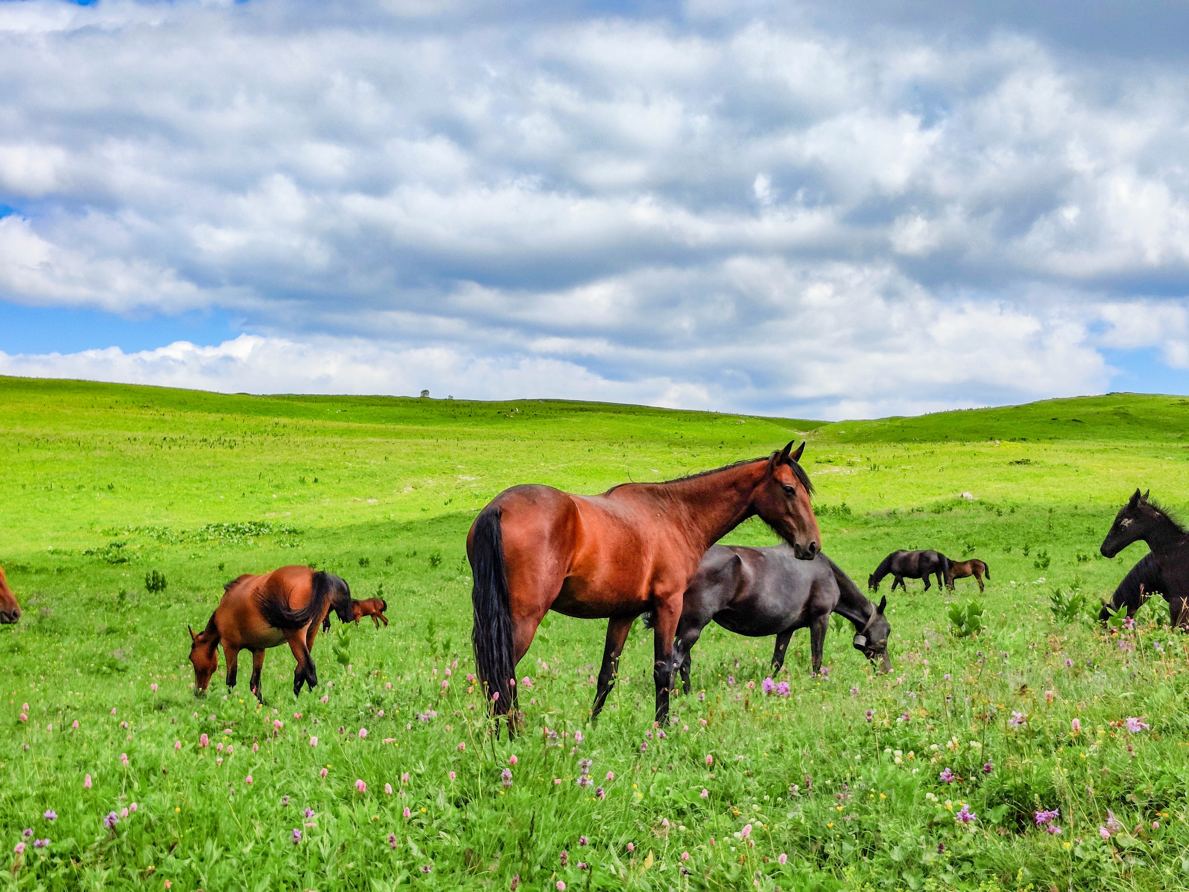 30 маршрут Через горы к морю - Пеший поход по Тридцатке (45/66)