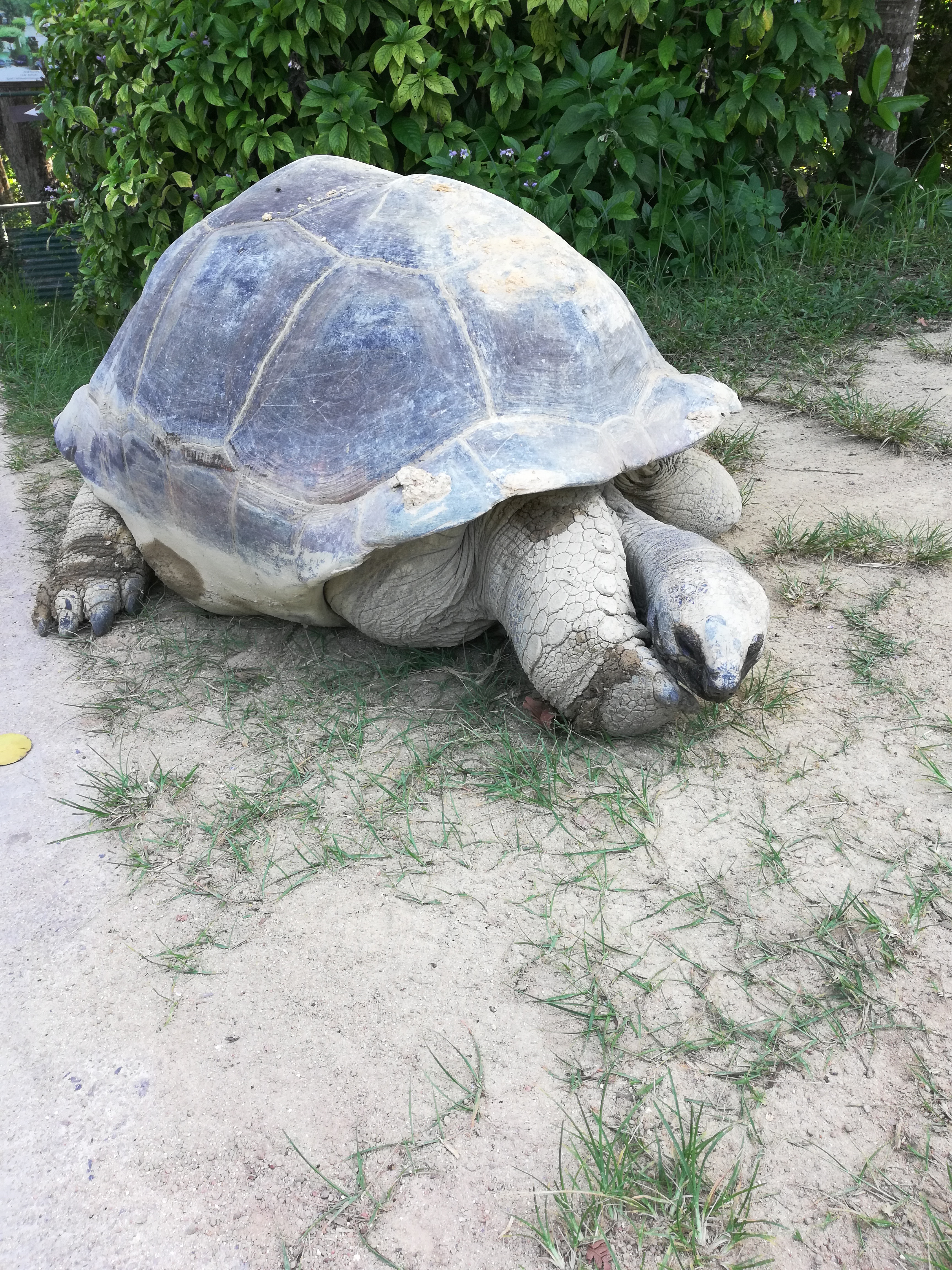 Сейшелы - приключение по островам (11/16)