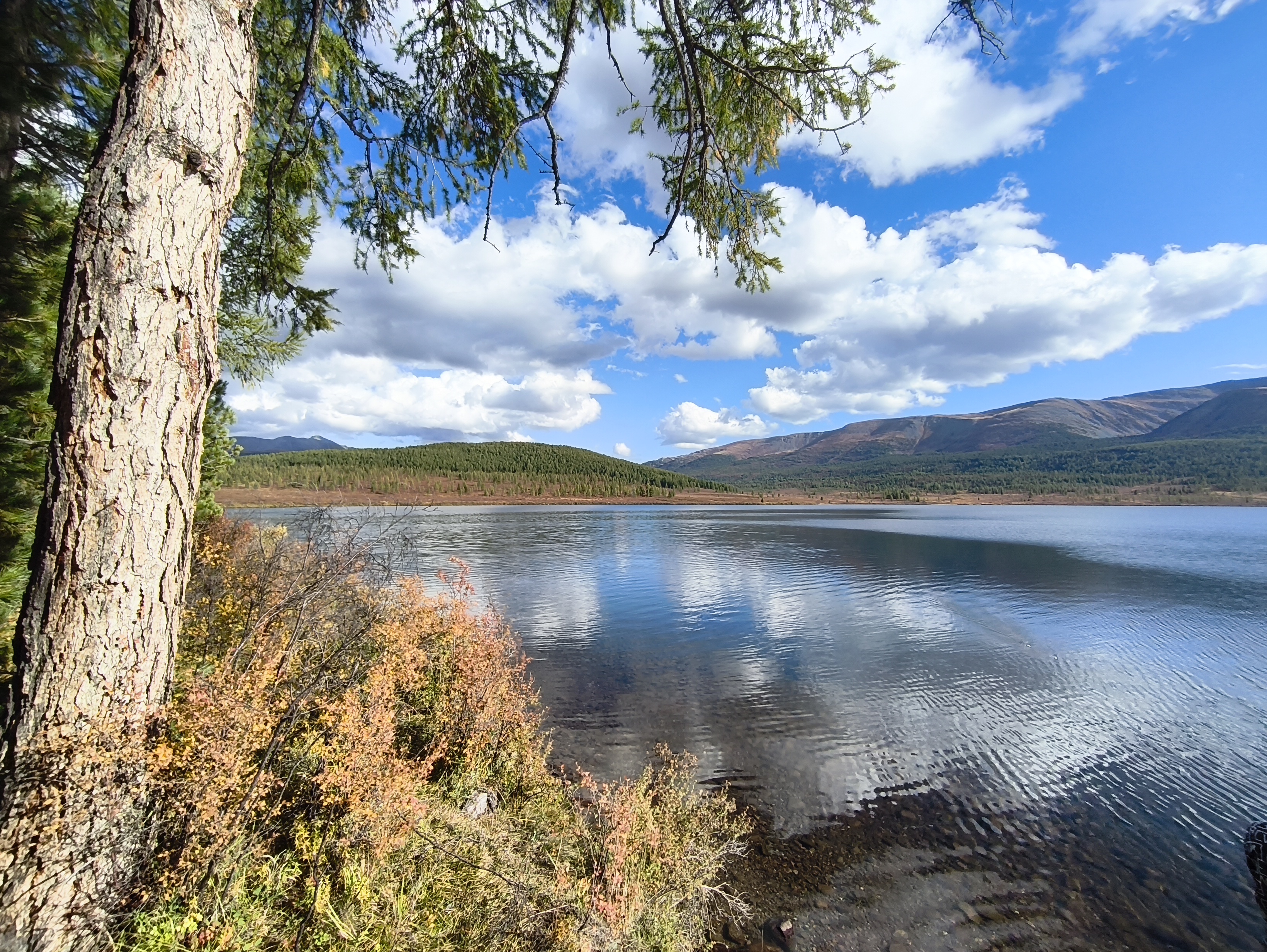 Алтайская Высотка Авто тур (12/46)