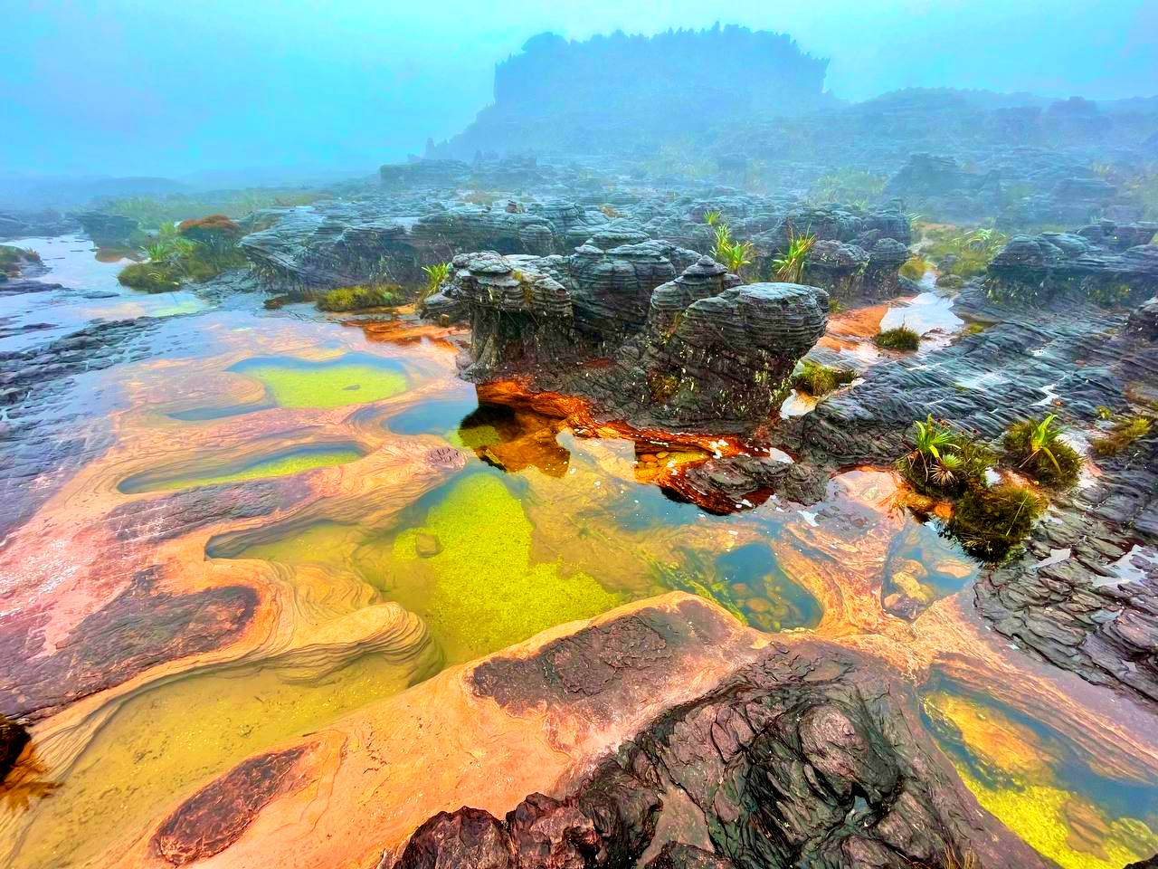 Венесуэла: к подножию Анхеля (включая внутренние перелёты) (11/42)