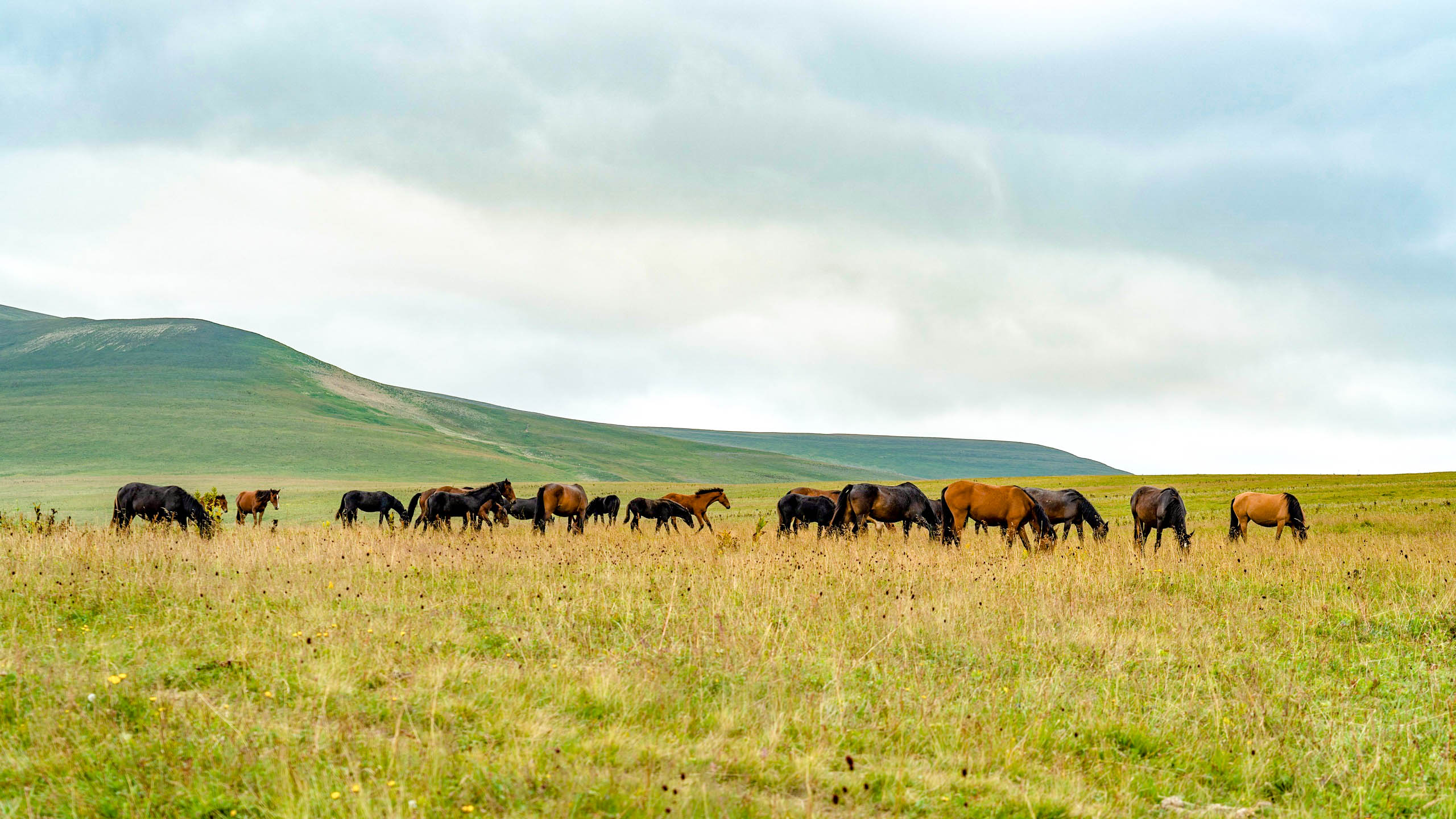 30 маршрут Через горы к морю - Пеший поход по Тридцатке (12/66)