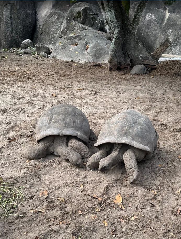 Отпуск для семьи: увлекательный тур под парусом на Сейшелах (10/37)