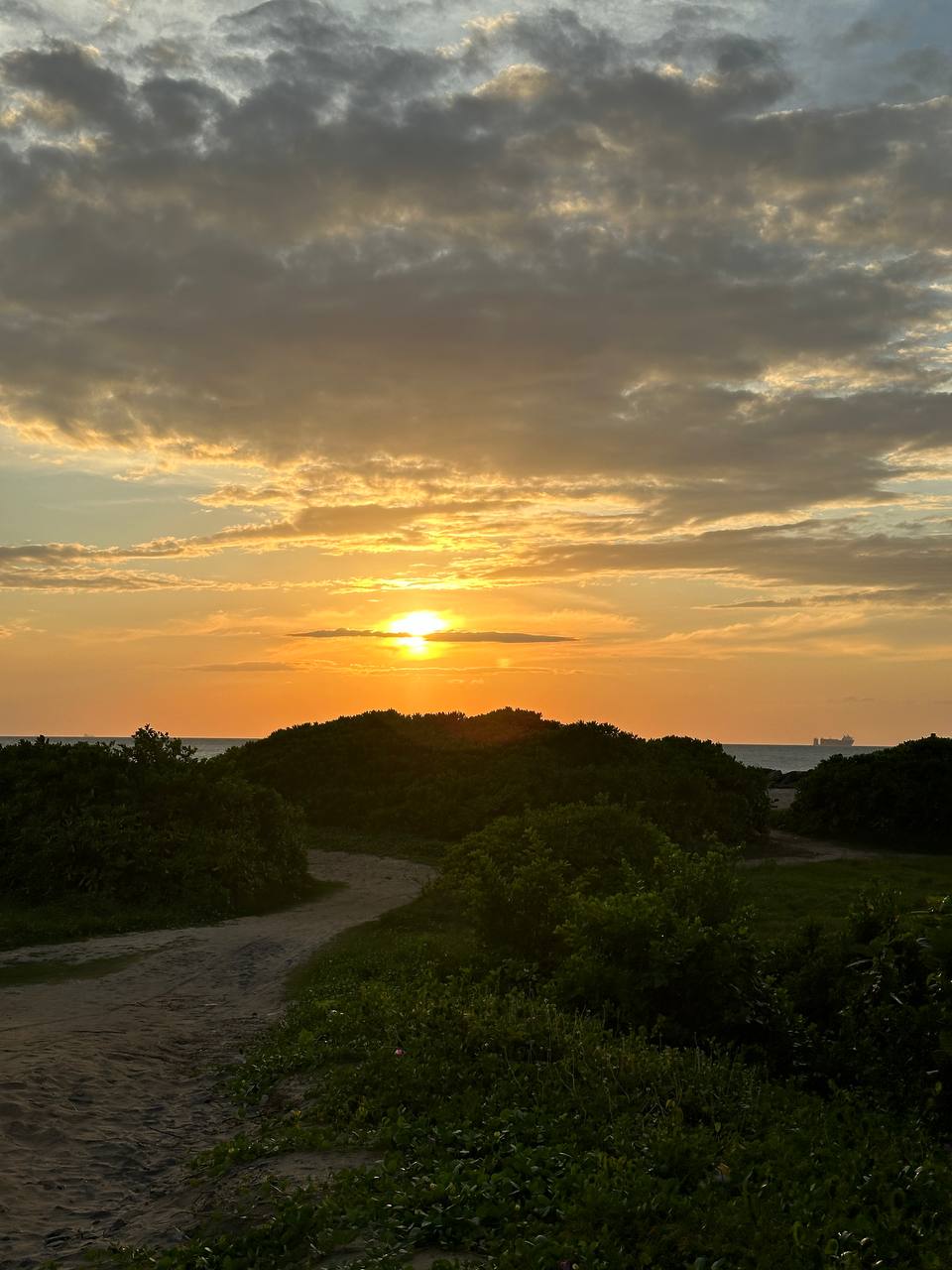 Тур Экзотика Шри-Ланки Pro (10 дней) (8/36)