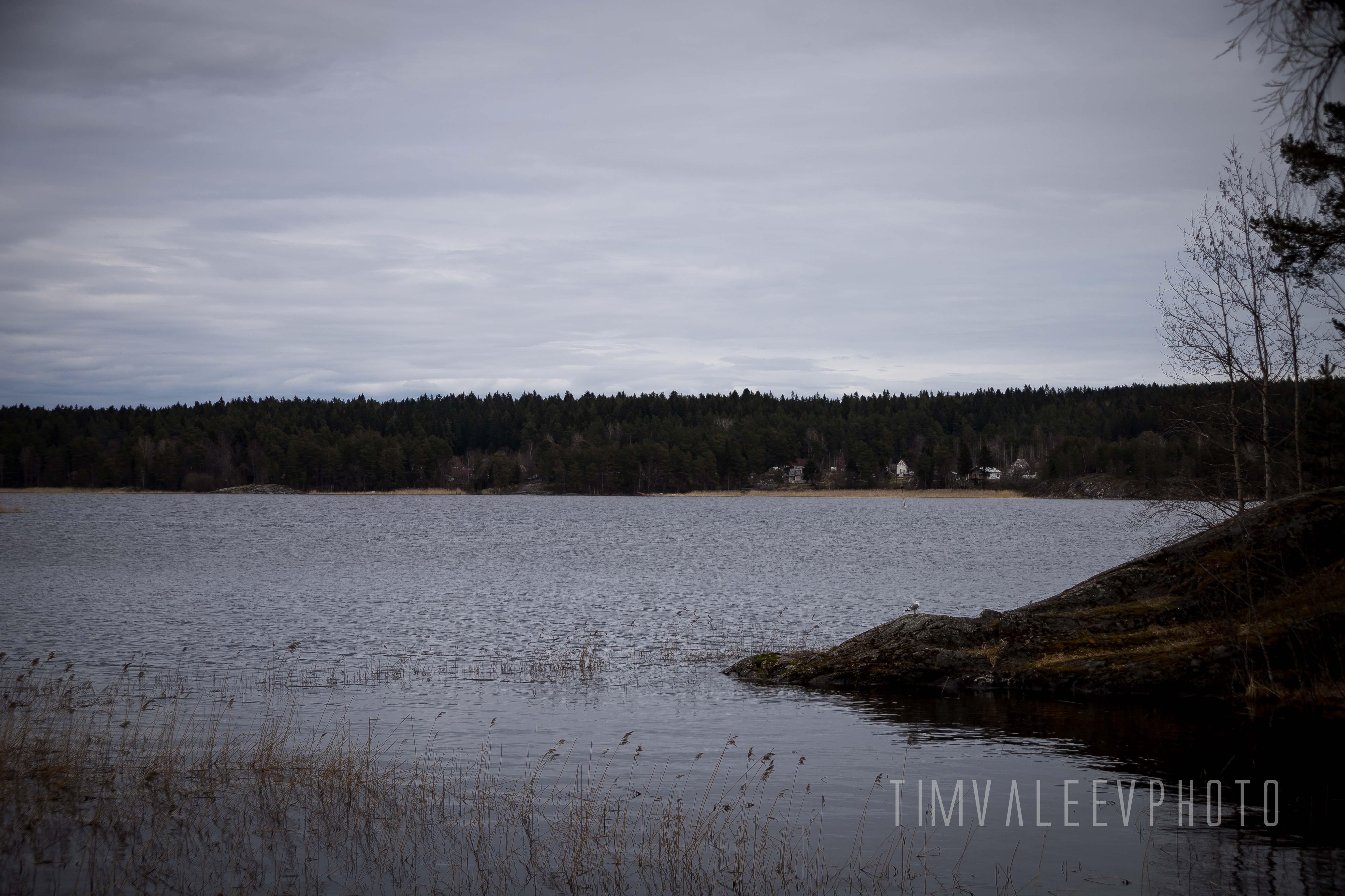 Встречаем осень в Ингрии