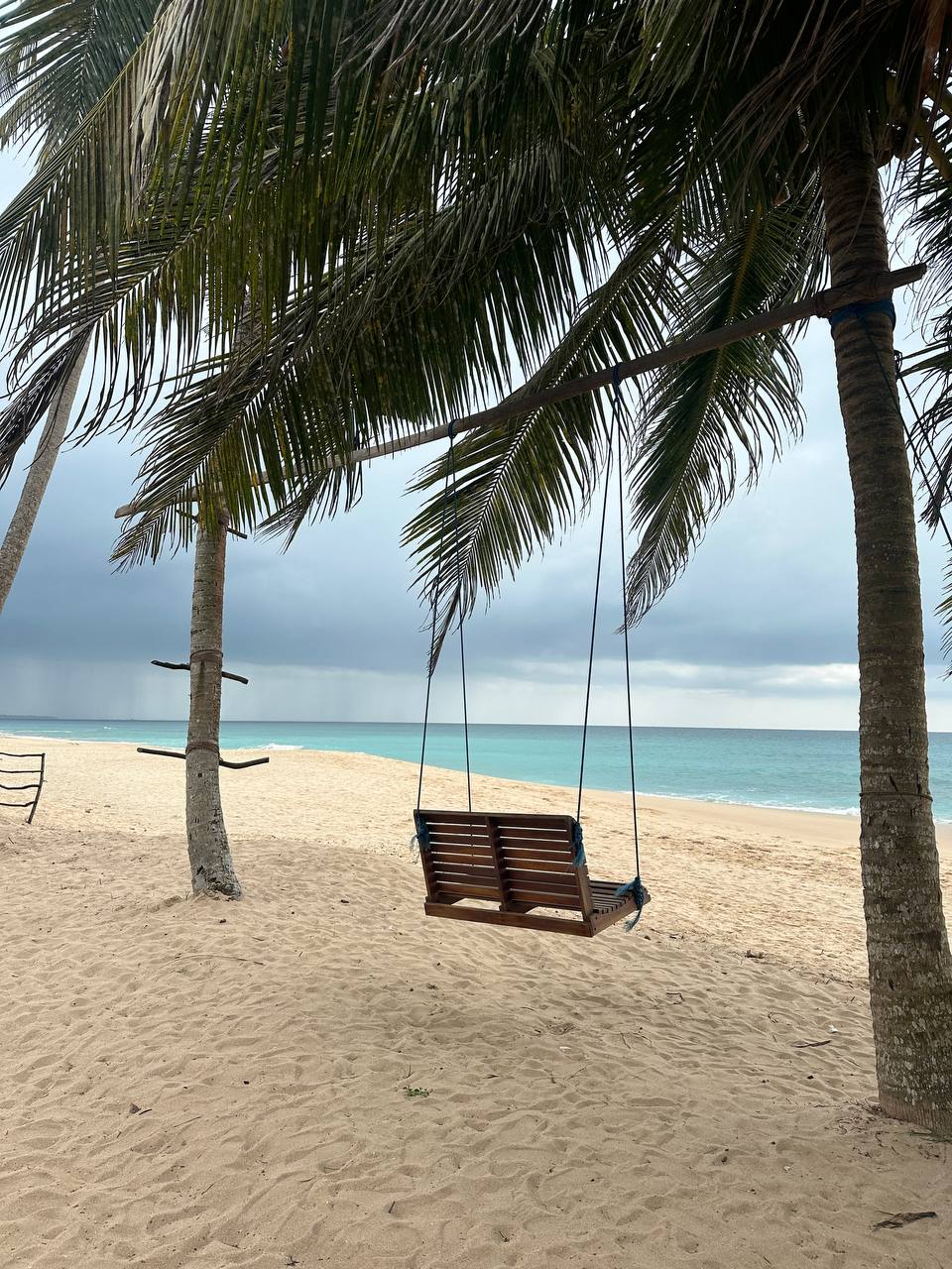 Тур Экзотика Шри-Ланки Pro (10 дней) (10/36)