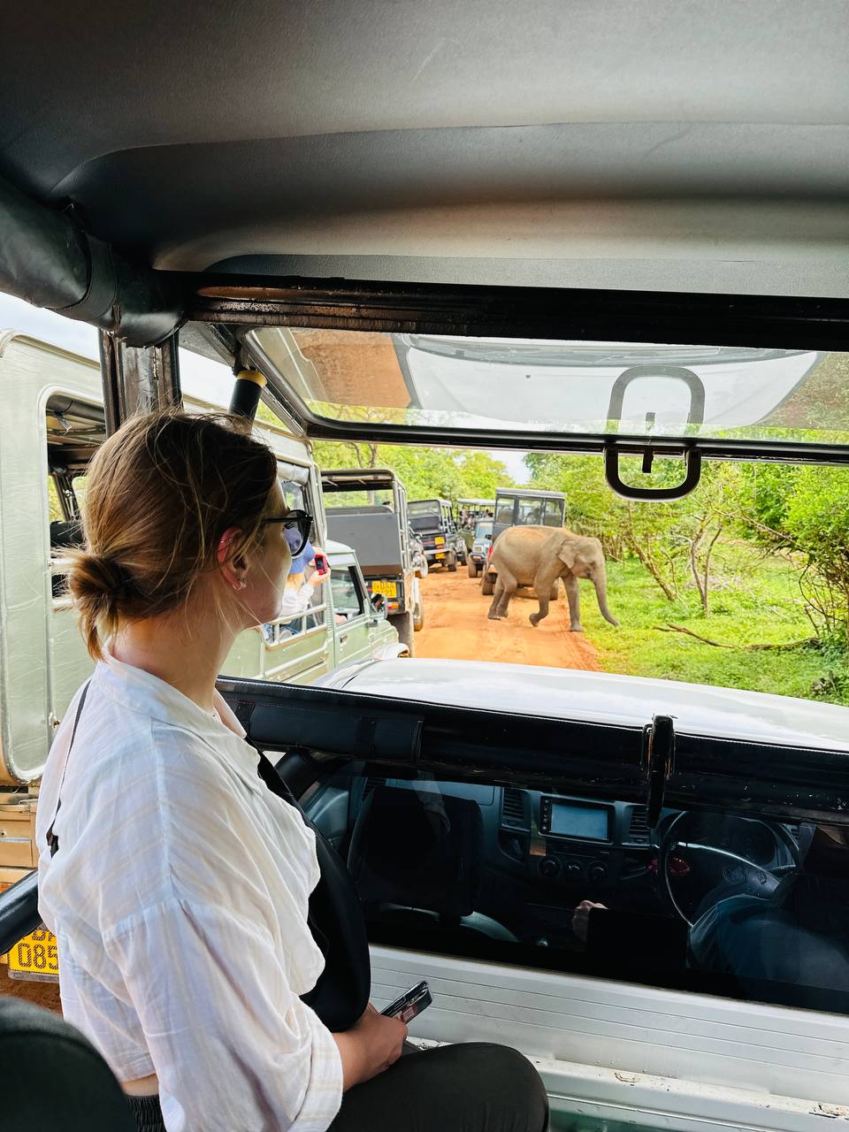 Тур Экзотика Шри-Ланки Pro (10 дней) (6/36)