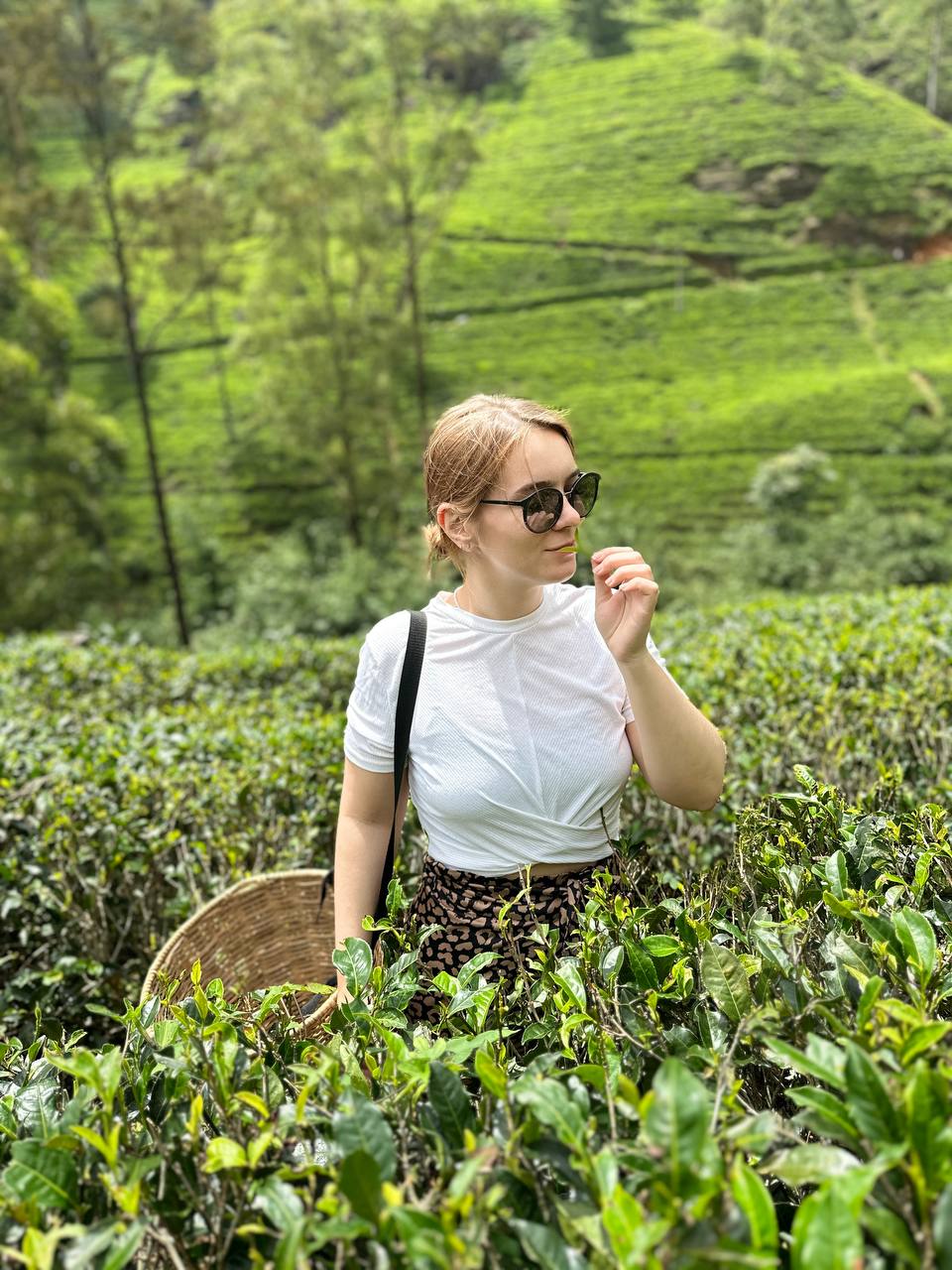 Тур Экзотика Шри-Ланки Pro (10 дней) (2/36)