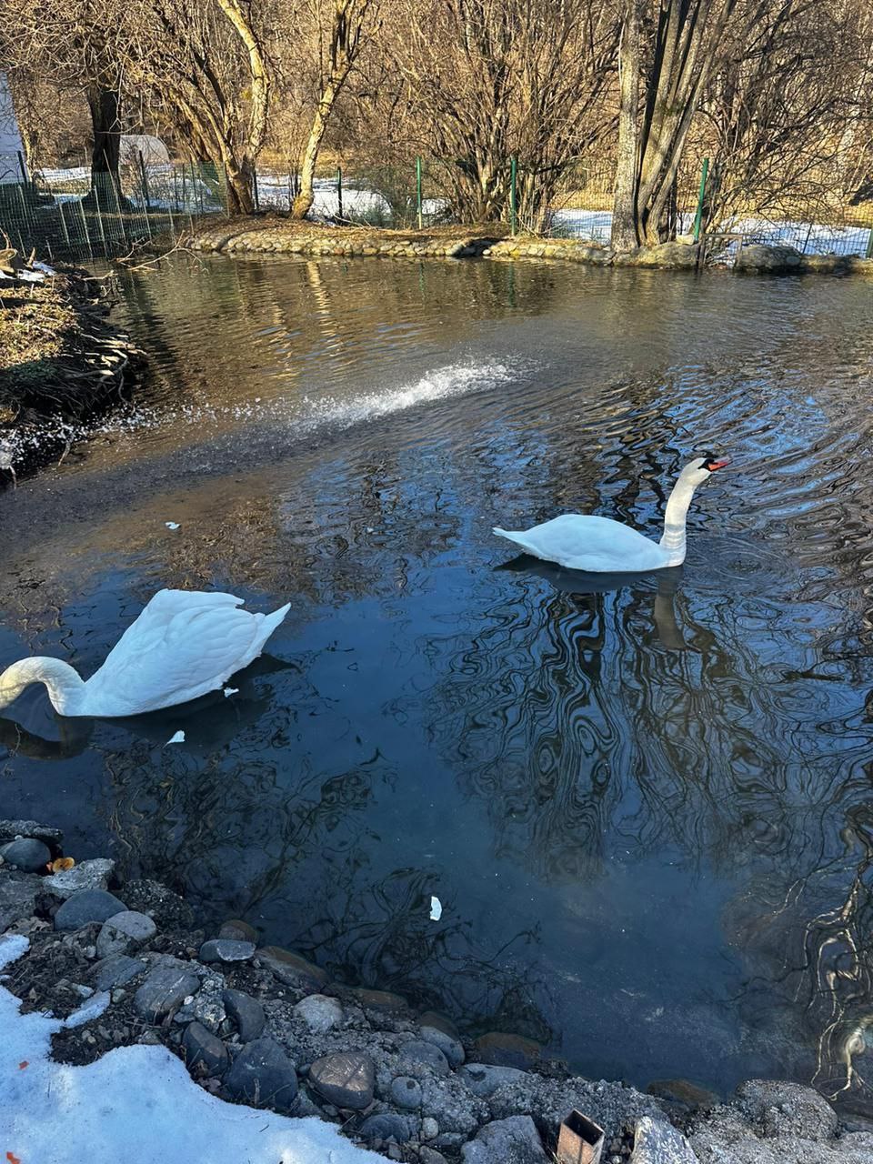 Новогодняя романтика гор: Домбай и Архыз