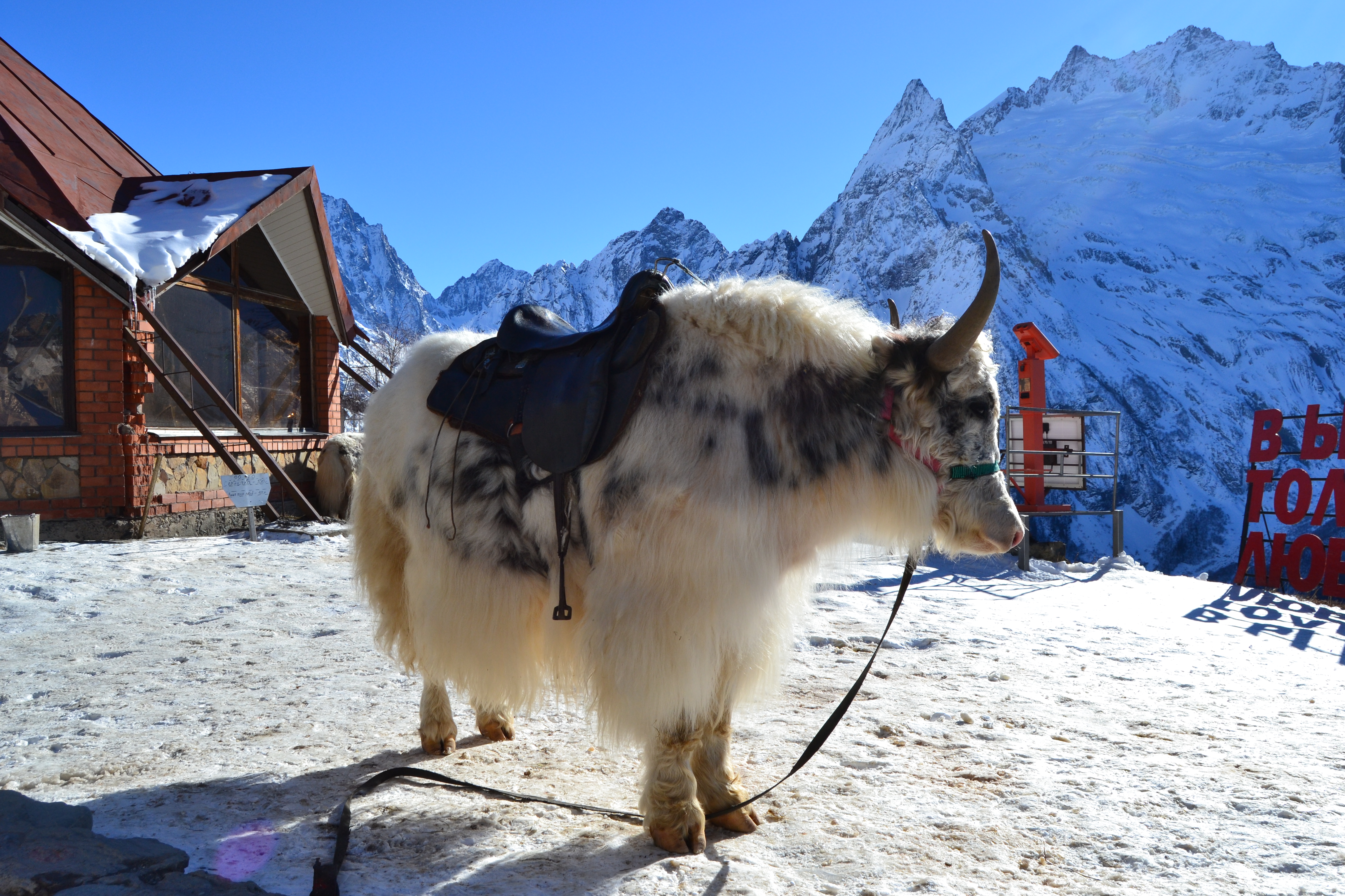 На вершину Мусса-Ачитара, исследуем окрестности