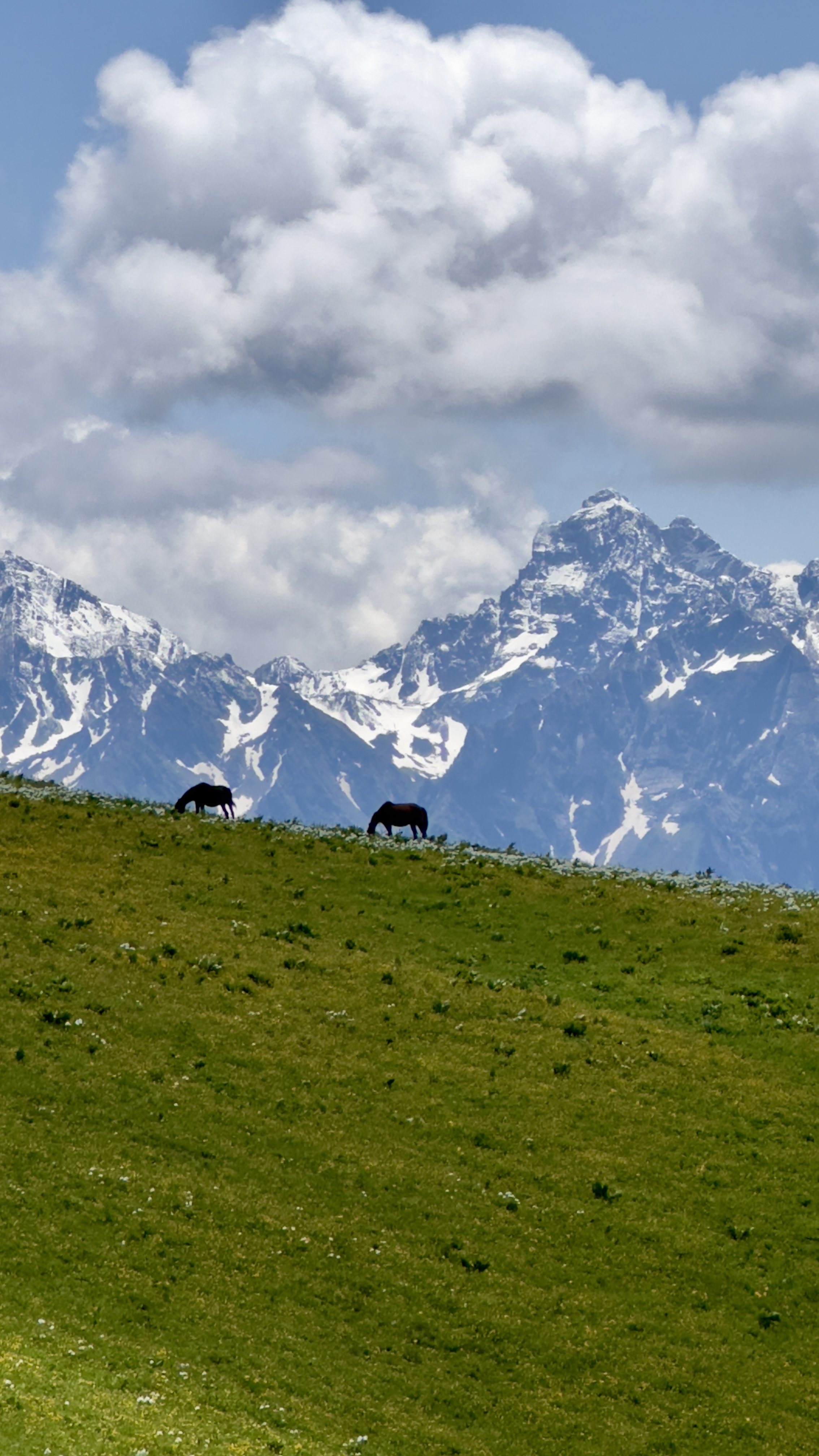 Бзерпинский карниз (26/30)