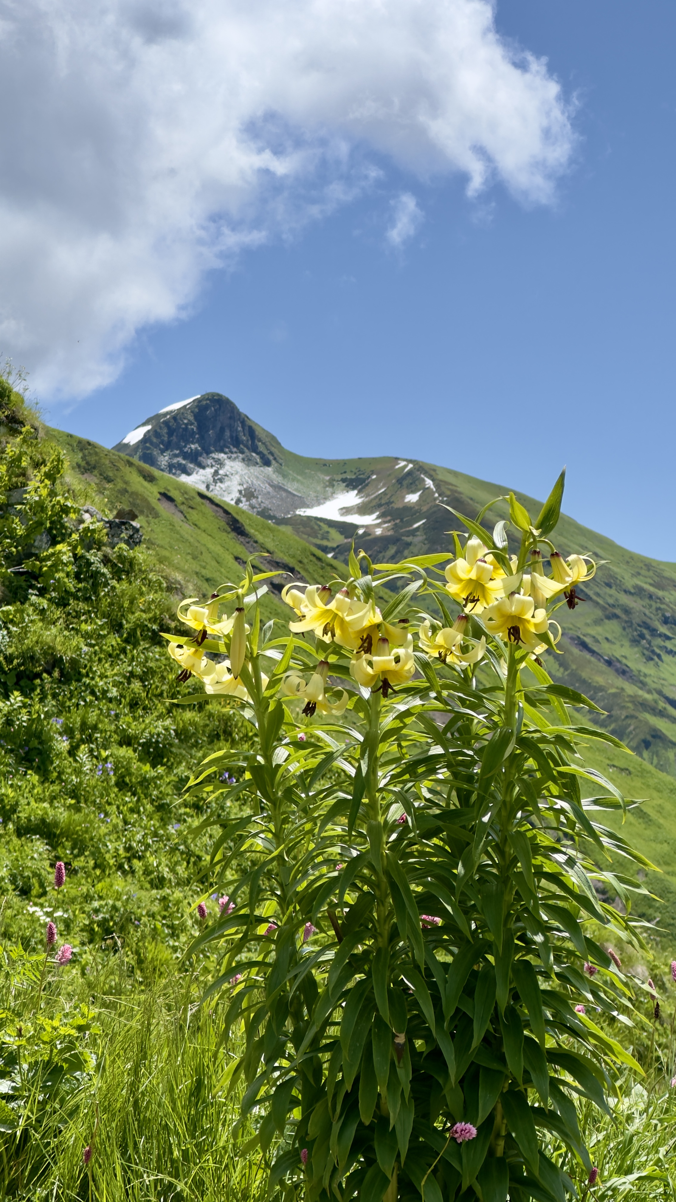 Бзерпинский карниз (27/30)