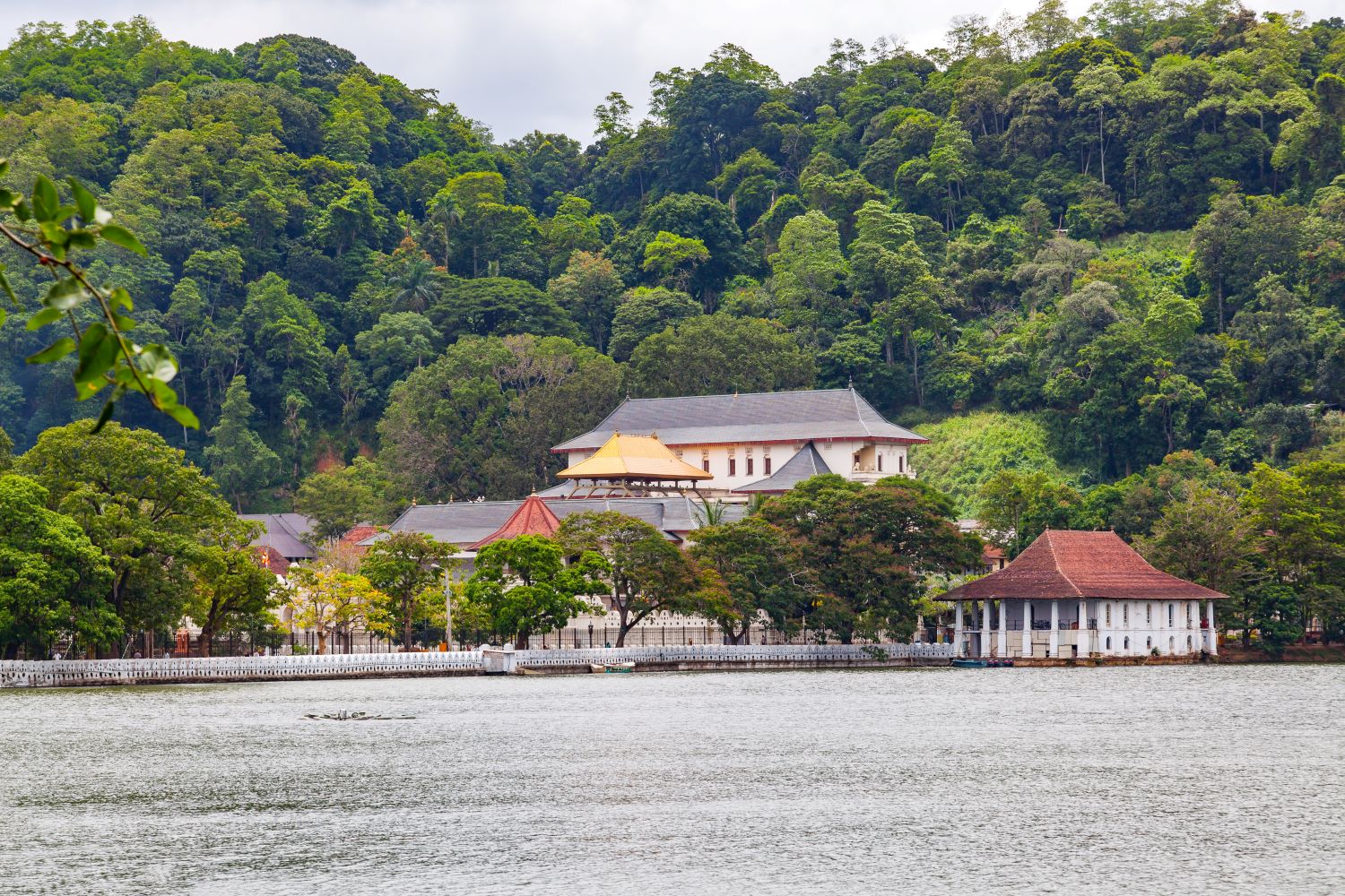 Тур в Шри Ланку на 8 дней (5 дней экскурсии + 3 дня пляж) (11/43)