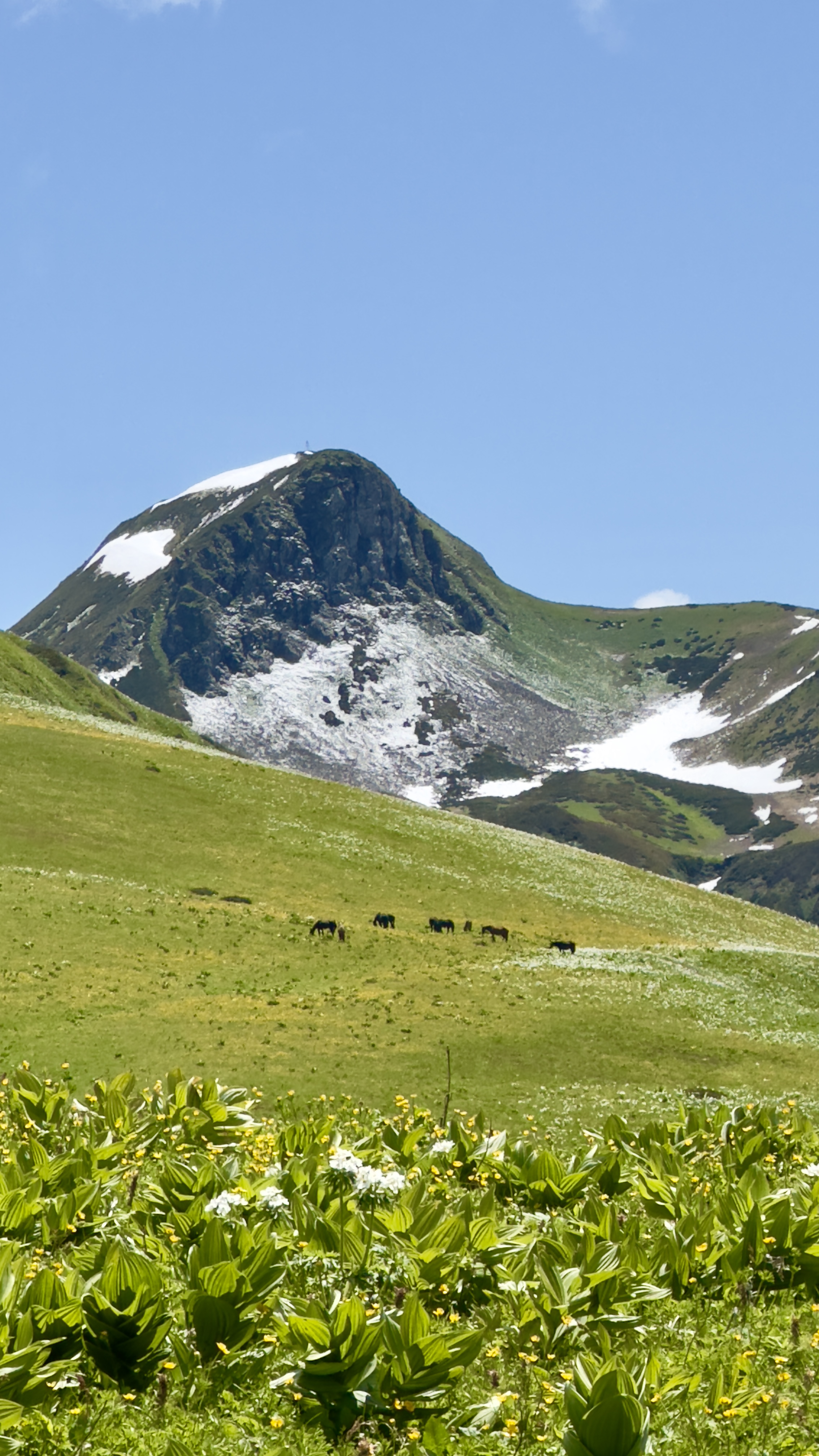 Бзерпинский карниз (29/30)