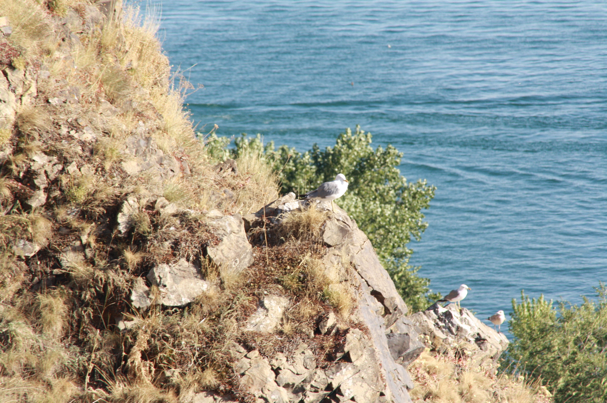 Пещера Левона - озеро Севан - г. Дилижан - Агарцин