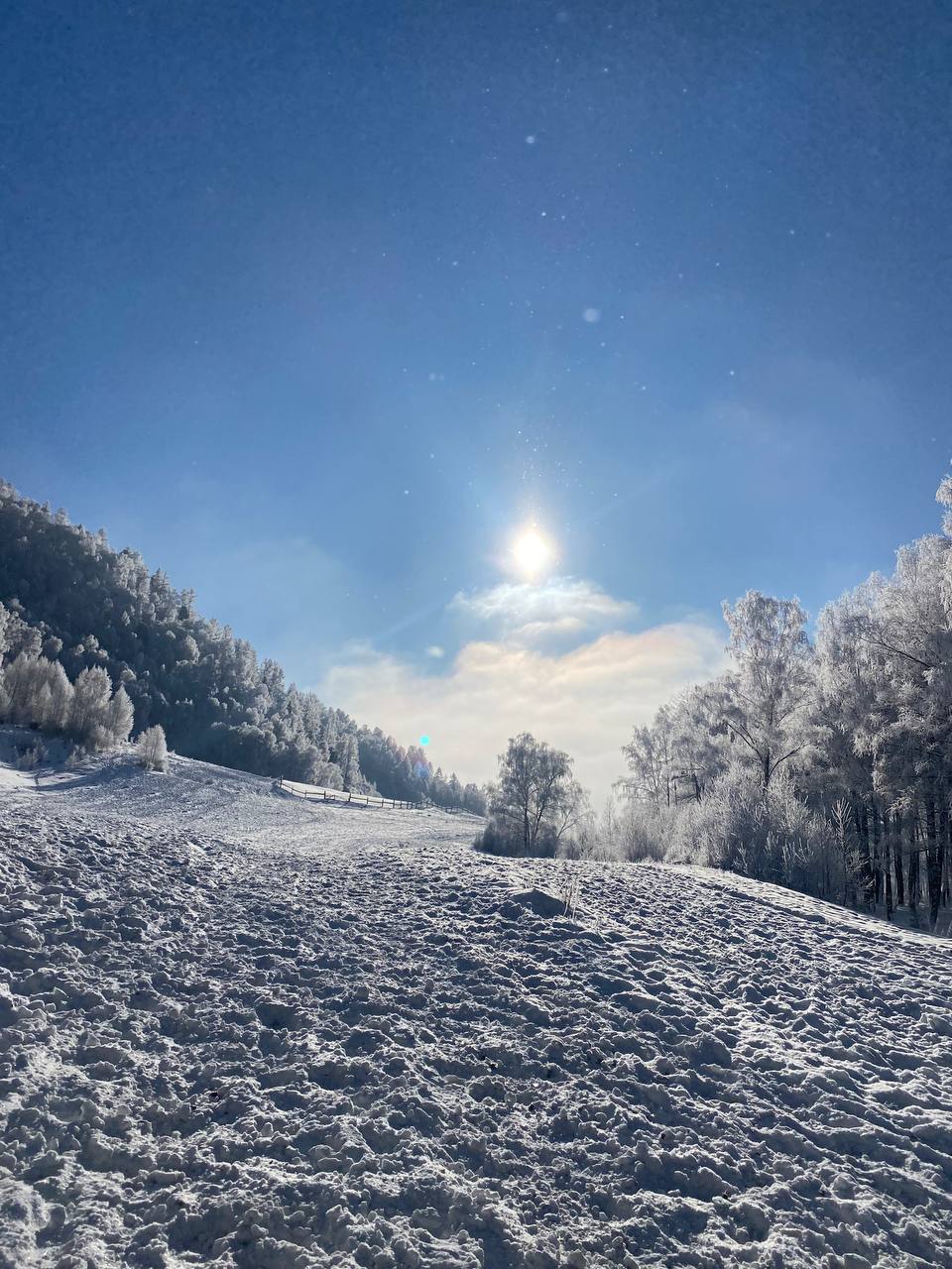 Легкость и долголетие (4/14)