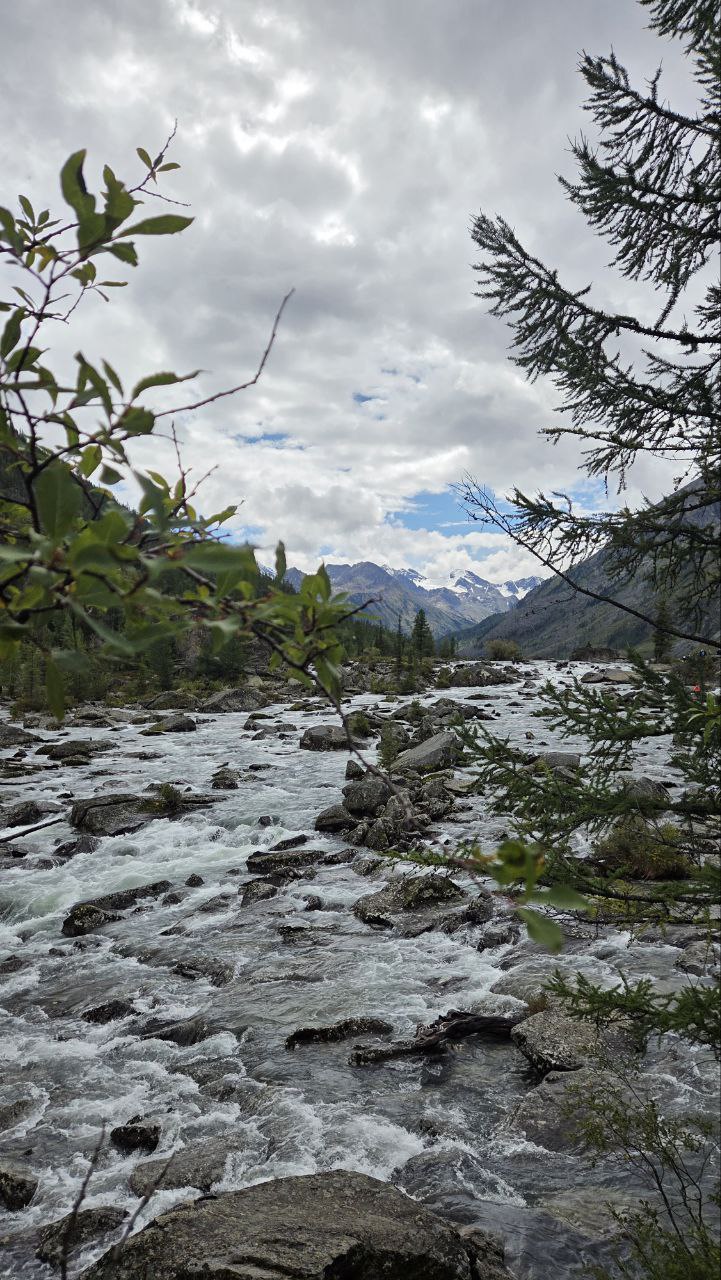 Сибирское здоровье