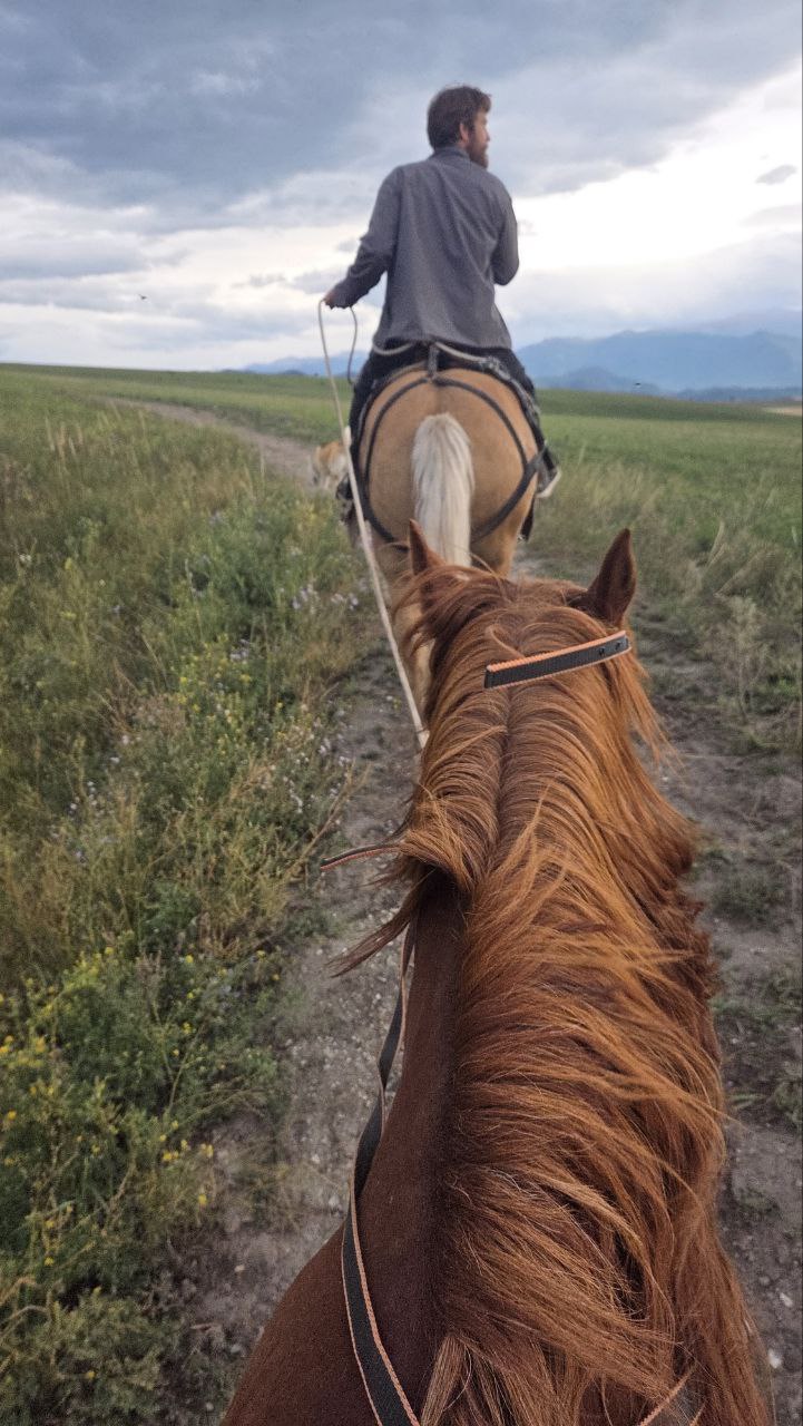 Сибирское здоровье (13/13)