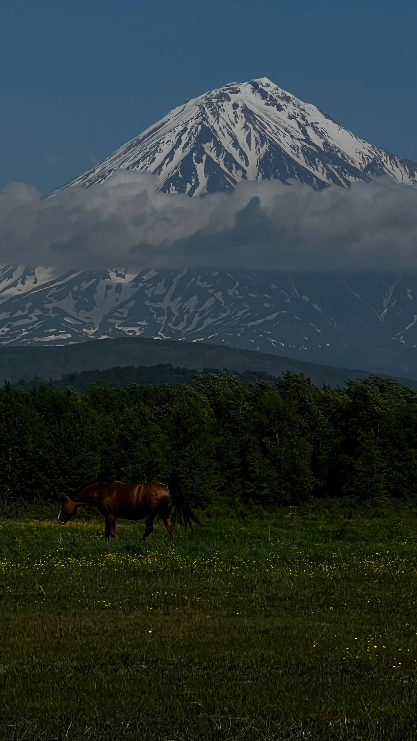 Этнодень на Камчатке (6/7)