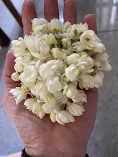Новогодняя Одиссея (13/111)