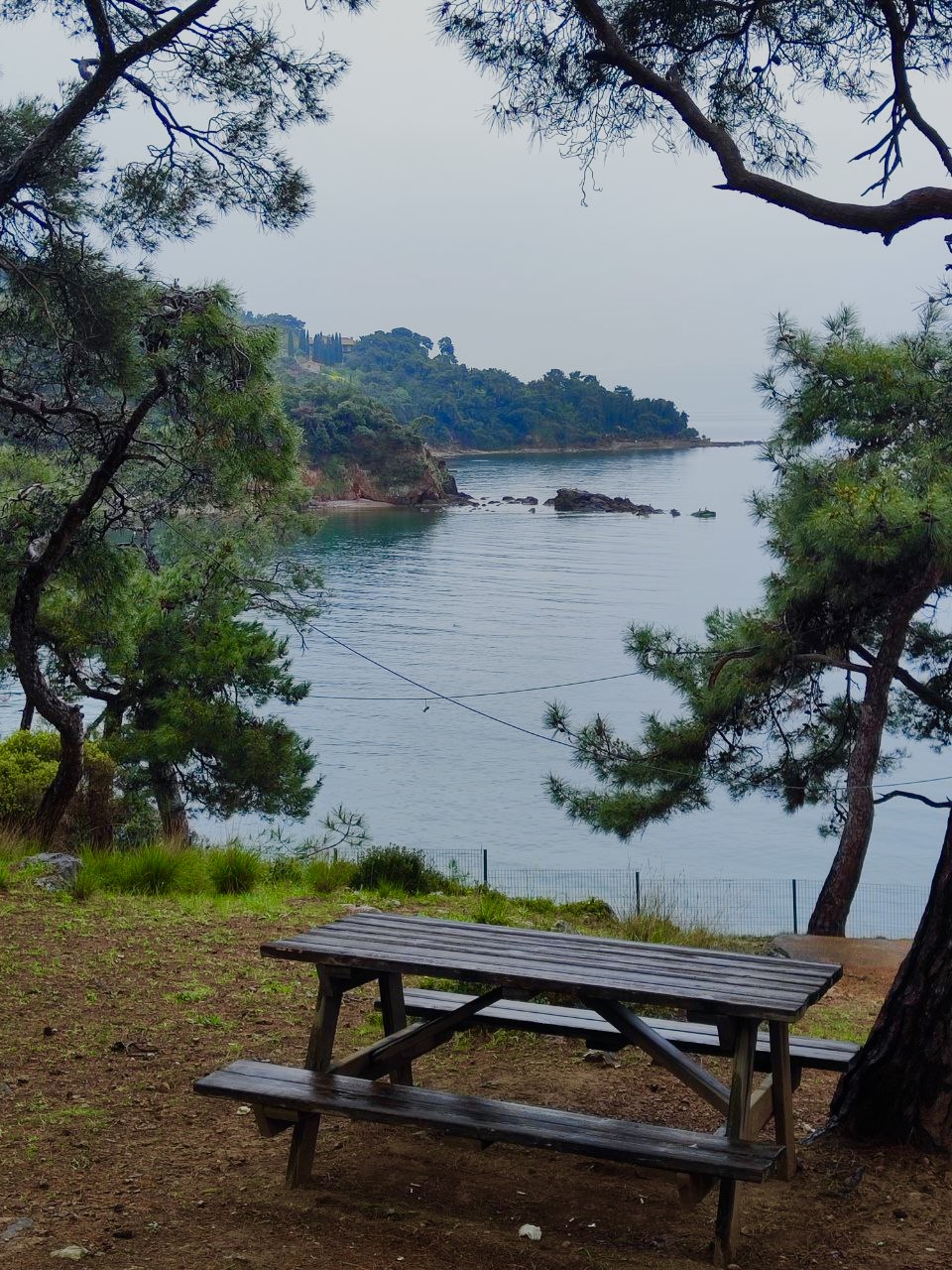 Стамбул. Увидеть всё! (38/57)