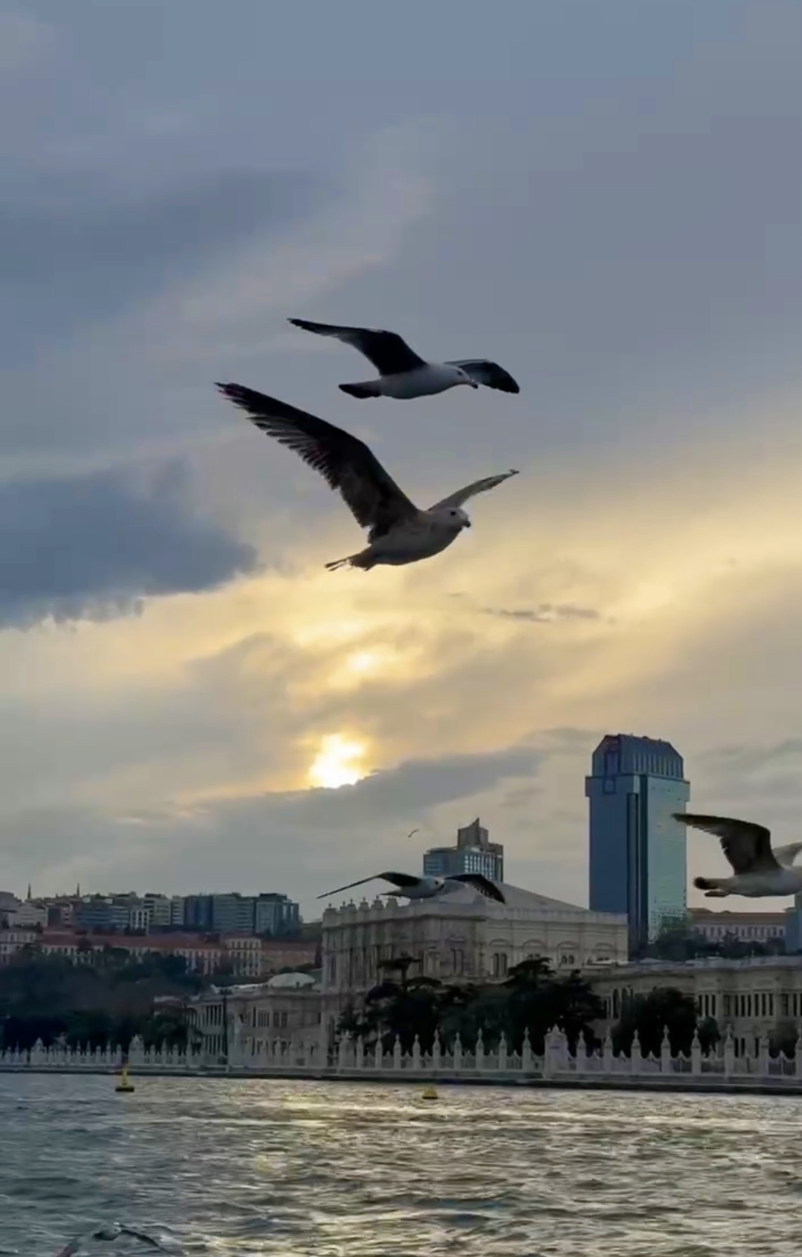 Стамбул. Увидеть всё! (44/57)