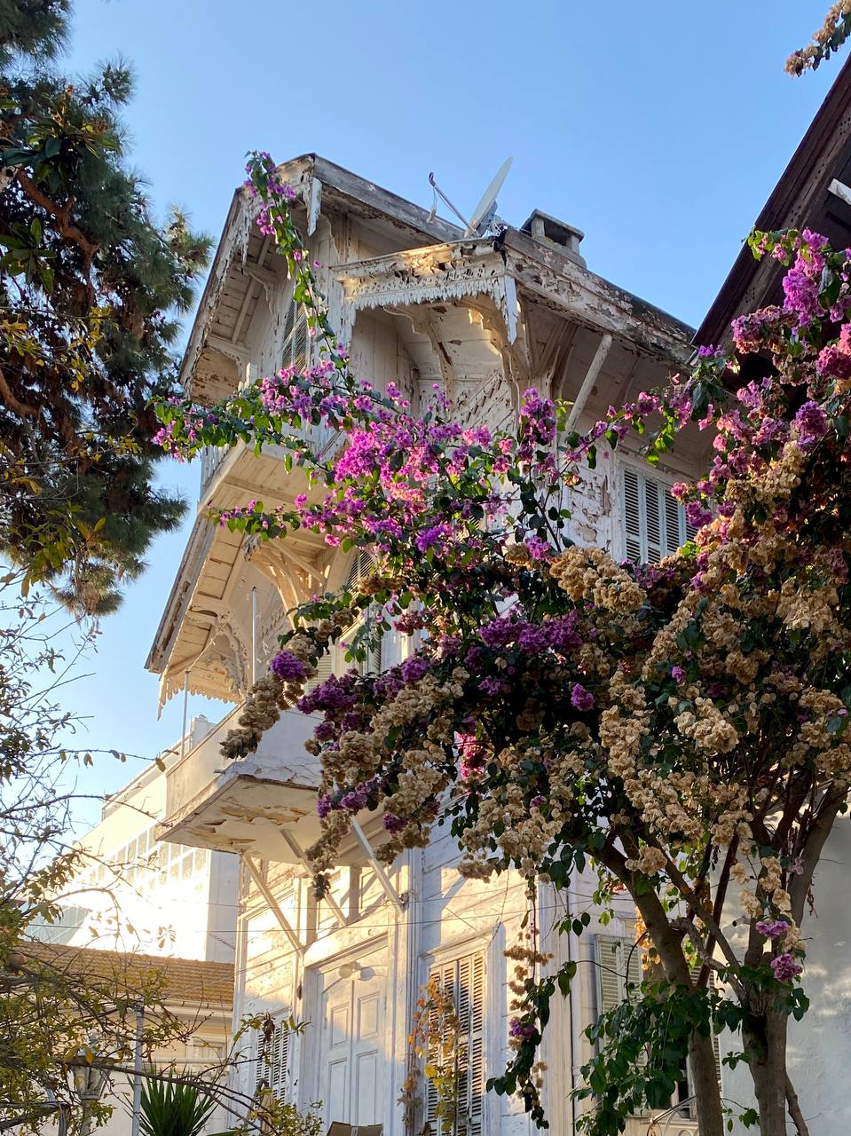 Стамбул. Увидеть всё! (31/57)