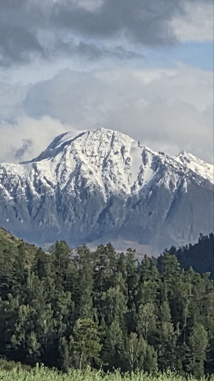 Сибирское здоровье (10/13)