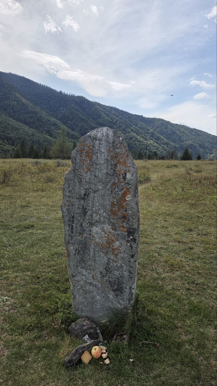 Сибирское здоровье (12/13)