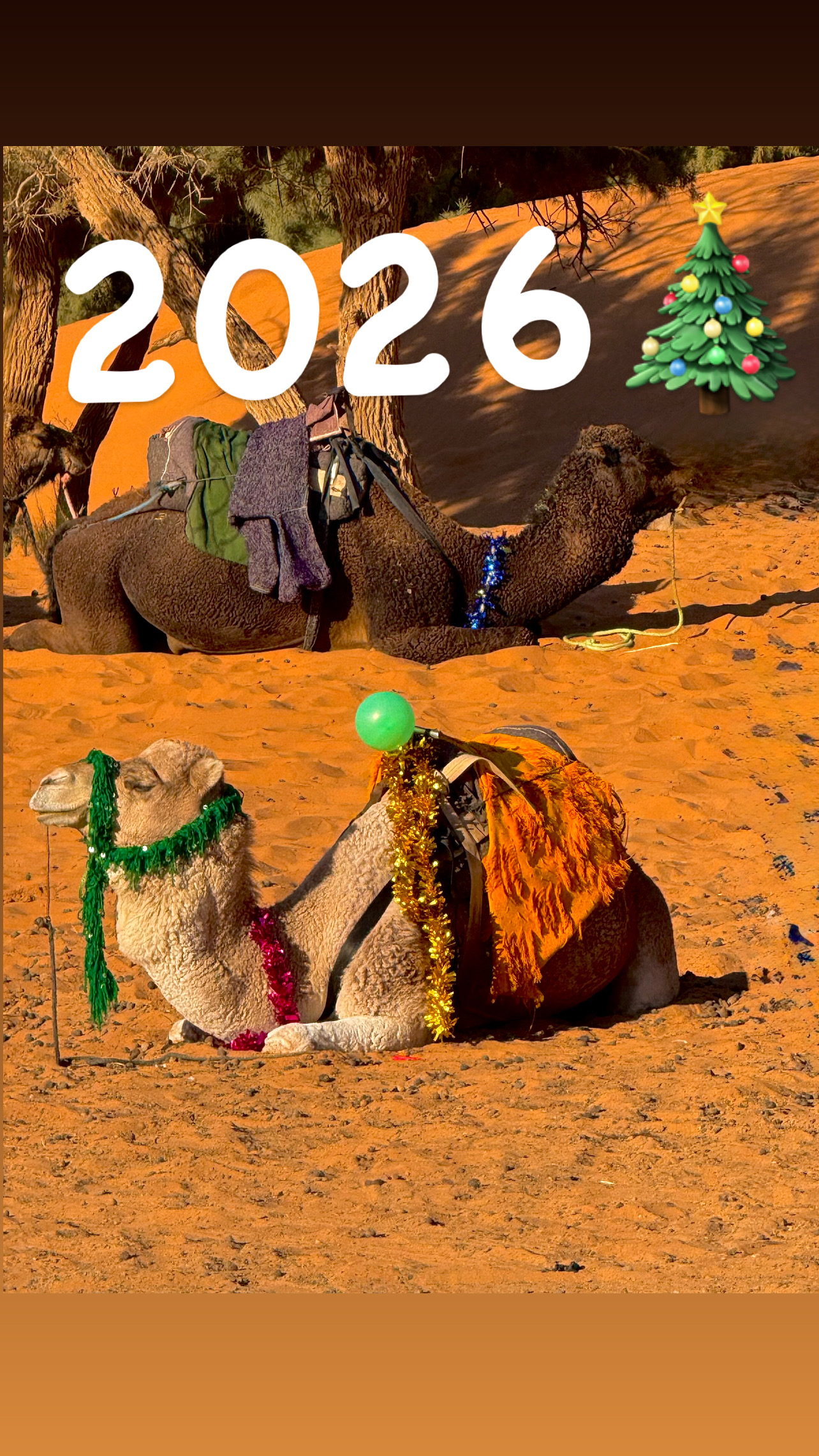 Новый год в Сахаре! 10 дней.Всё самое интересное в Марокко. (8/59)